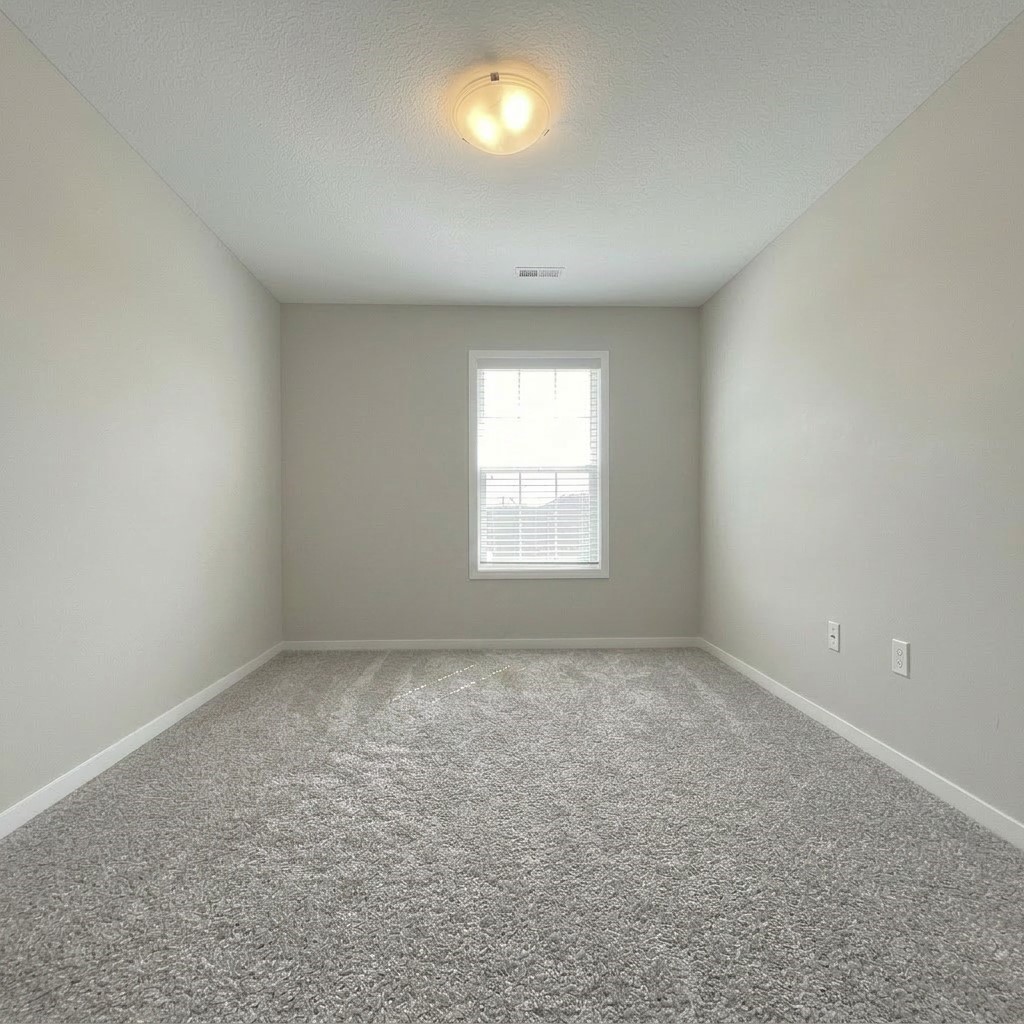 9315 Primo Lane Property Photo 8