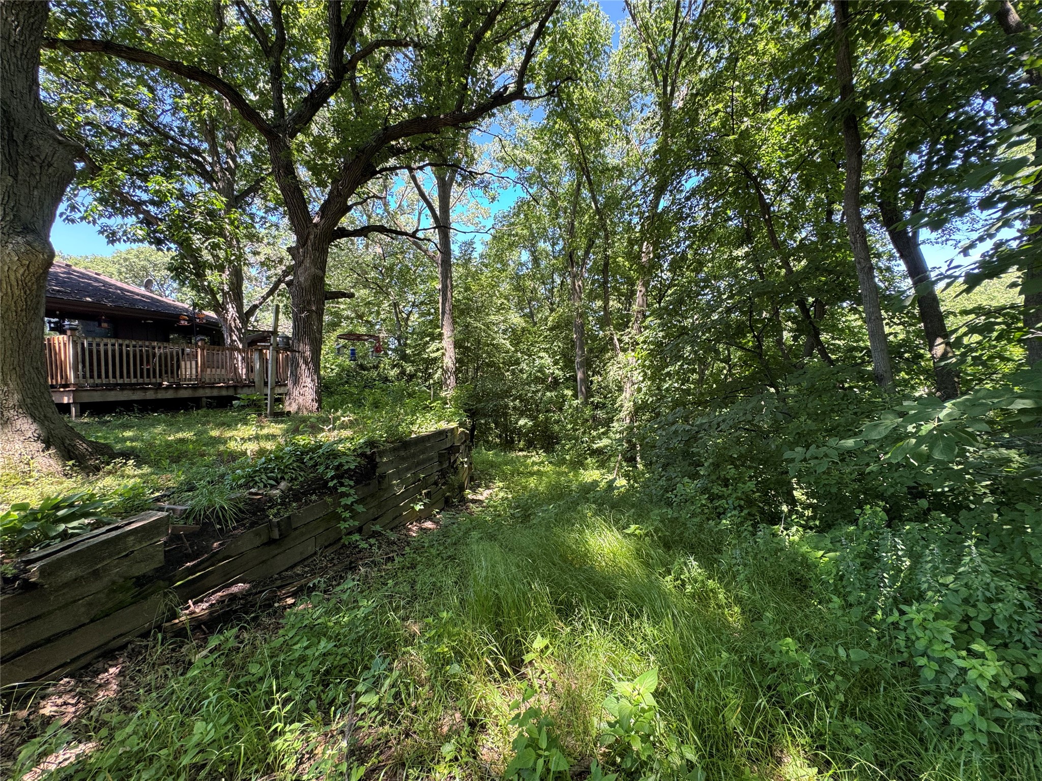 2480 Inkpaduta Avenue Property Photo 19