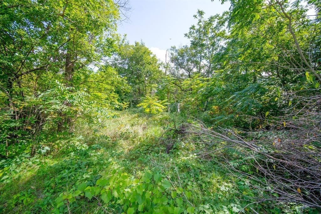 Parcels 05002943000000, 05002944000000 & 05002945000000 None Property Photo 5