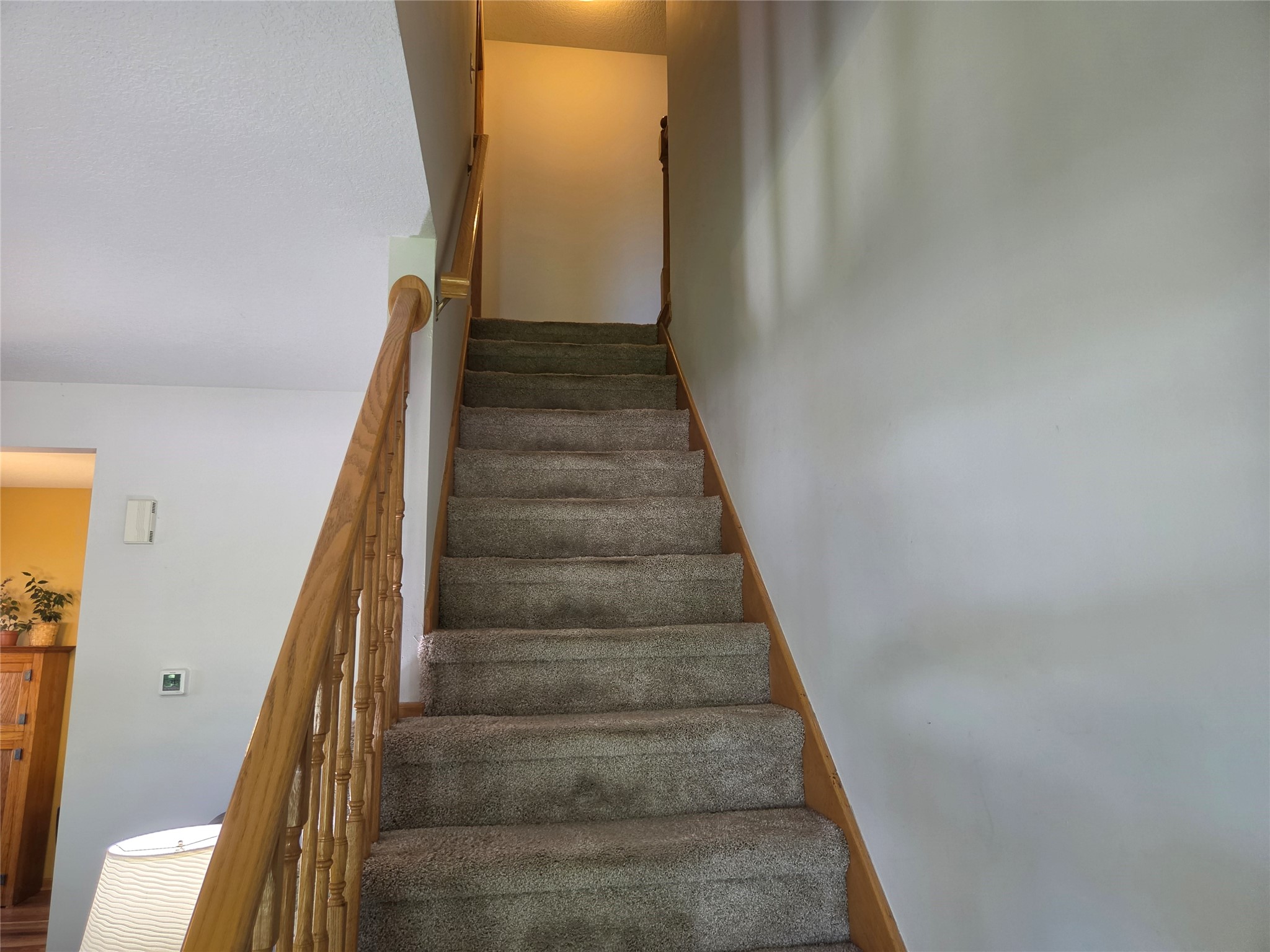 10531 Hickory Drive 1 Property Photo 16