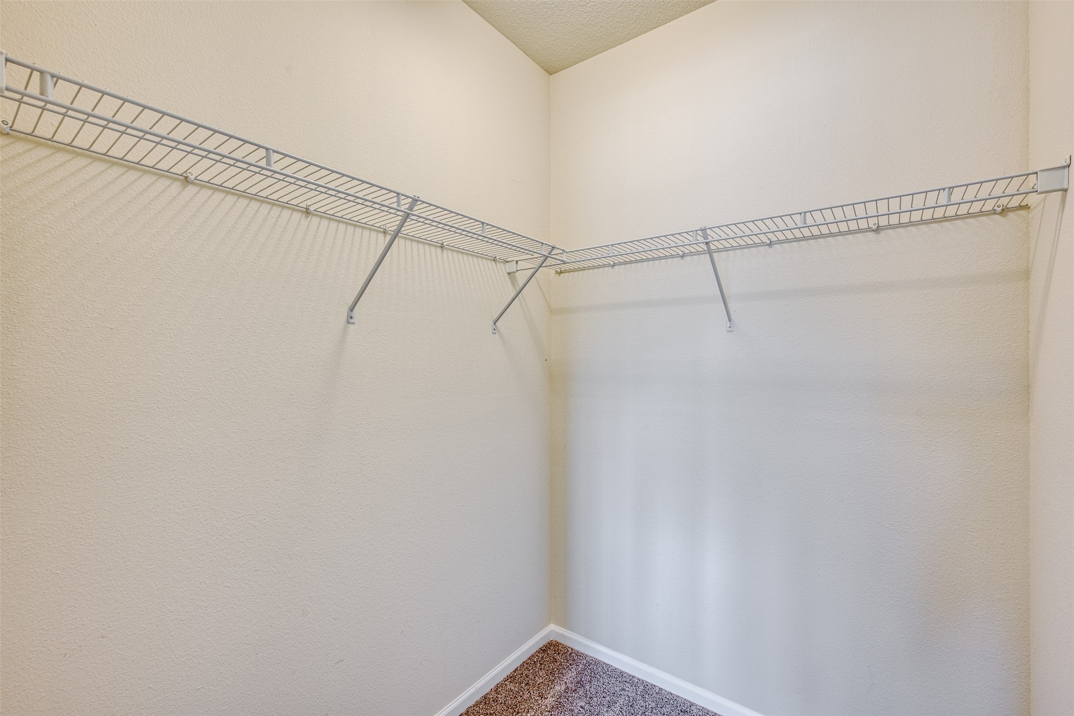 6255 Beechtree Drive 4205 Property Photo 18