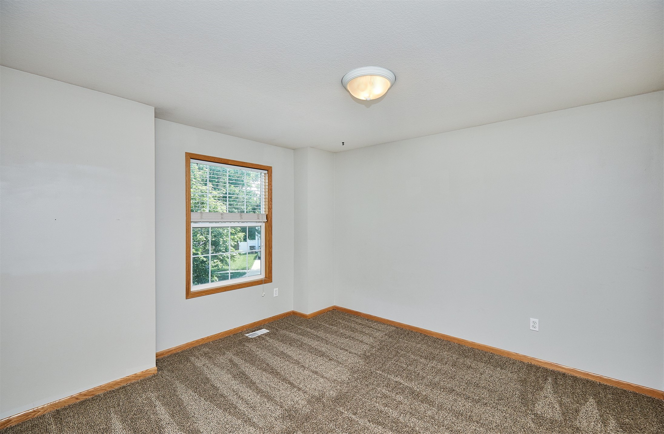 7732 Beechtree Lane Property Photo 16