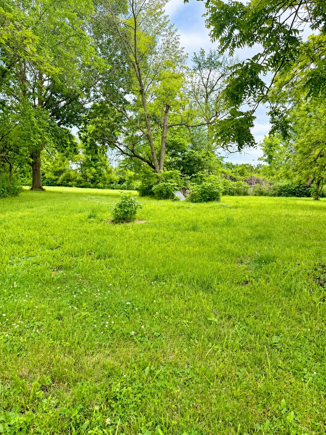 311 S Niagara Street Property Photo 4