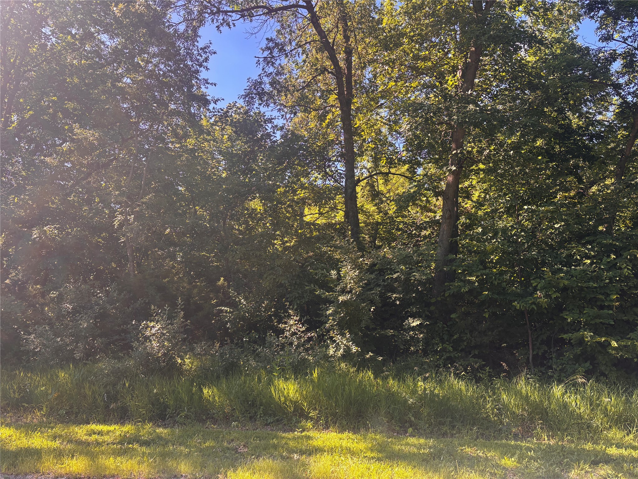 000 Panorama Road Property Photo 1