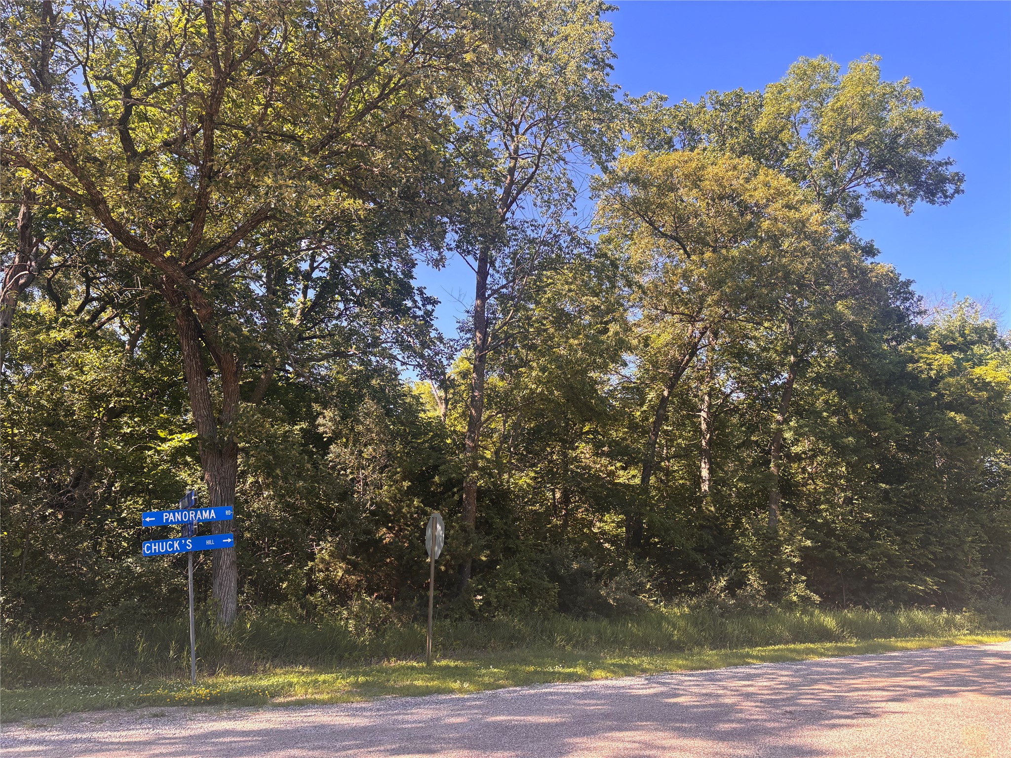 000 Panorama Road Property Photo 3