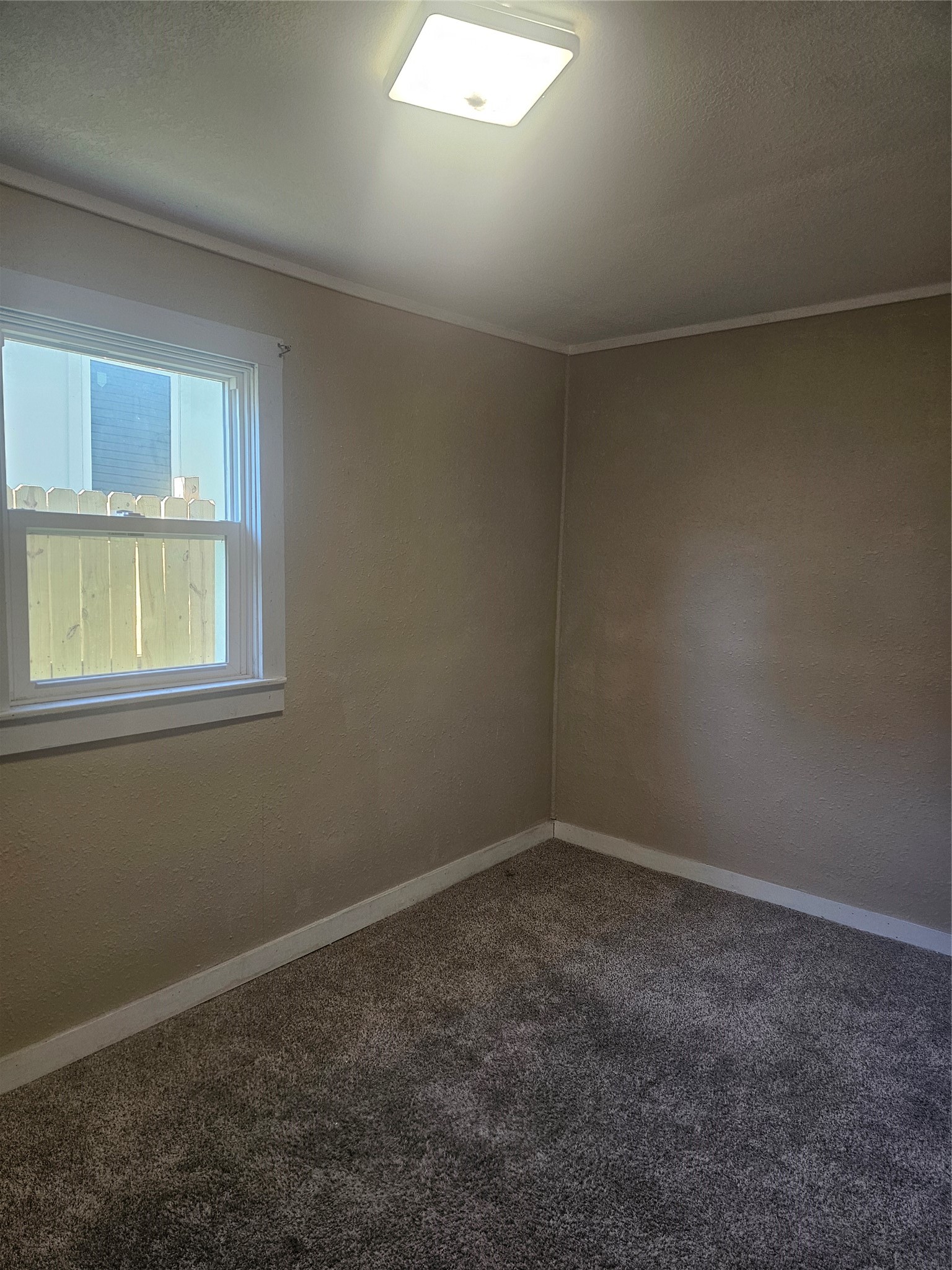 513 3rd Street Property Photo 11