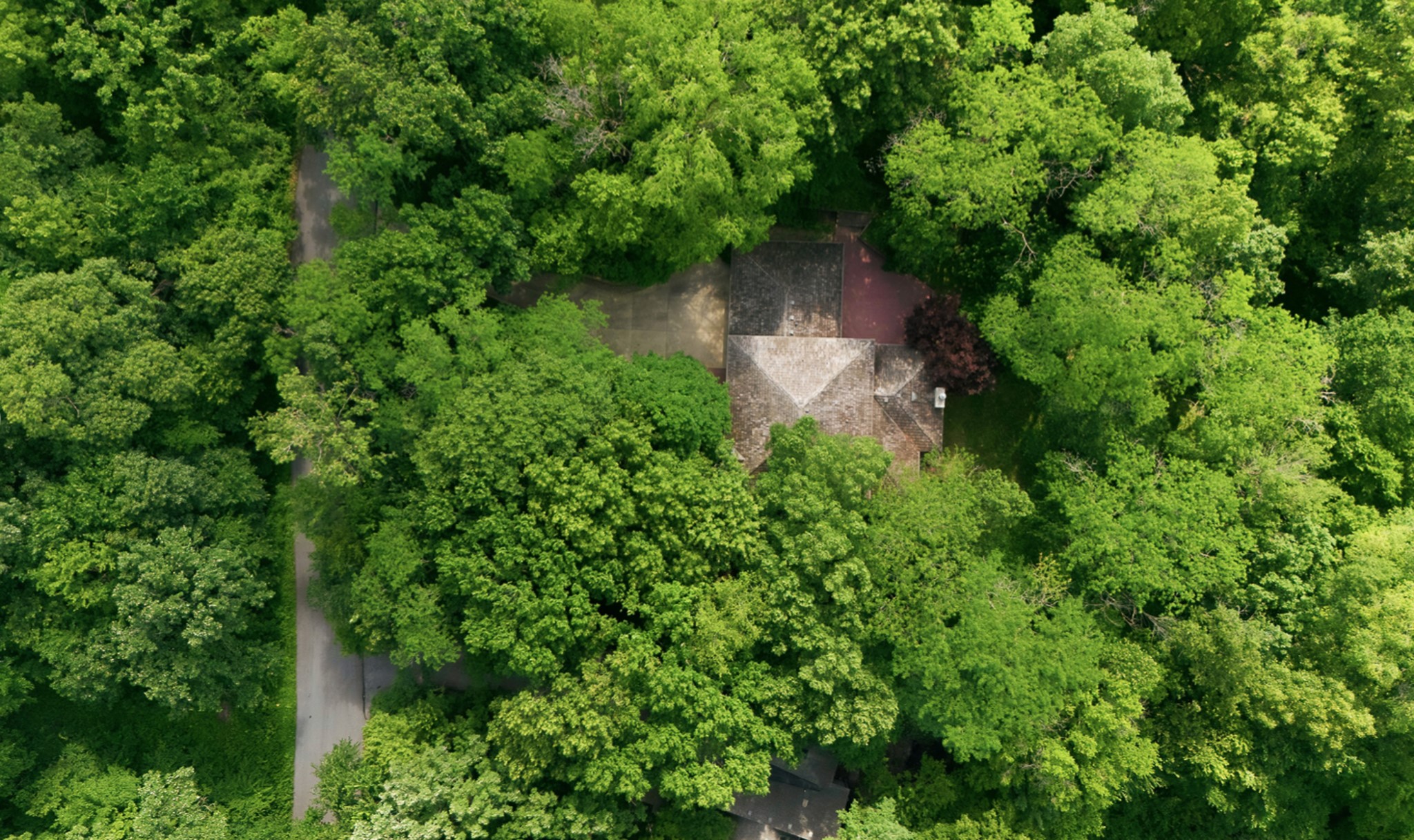 1613 Thornwood Road Property Photo 35