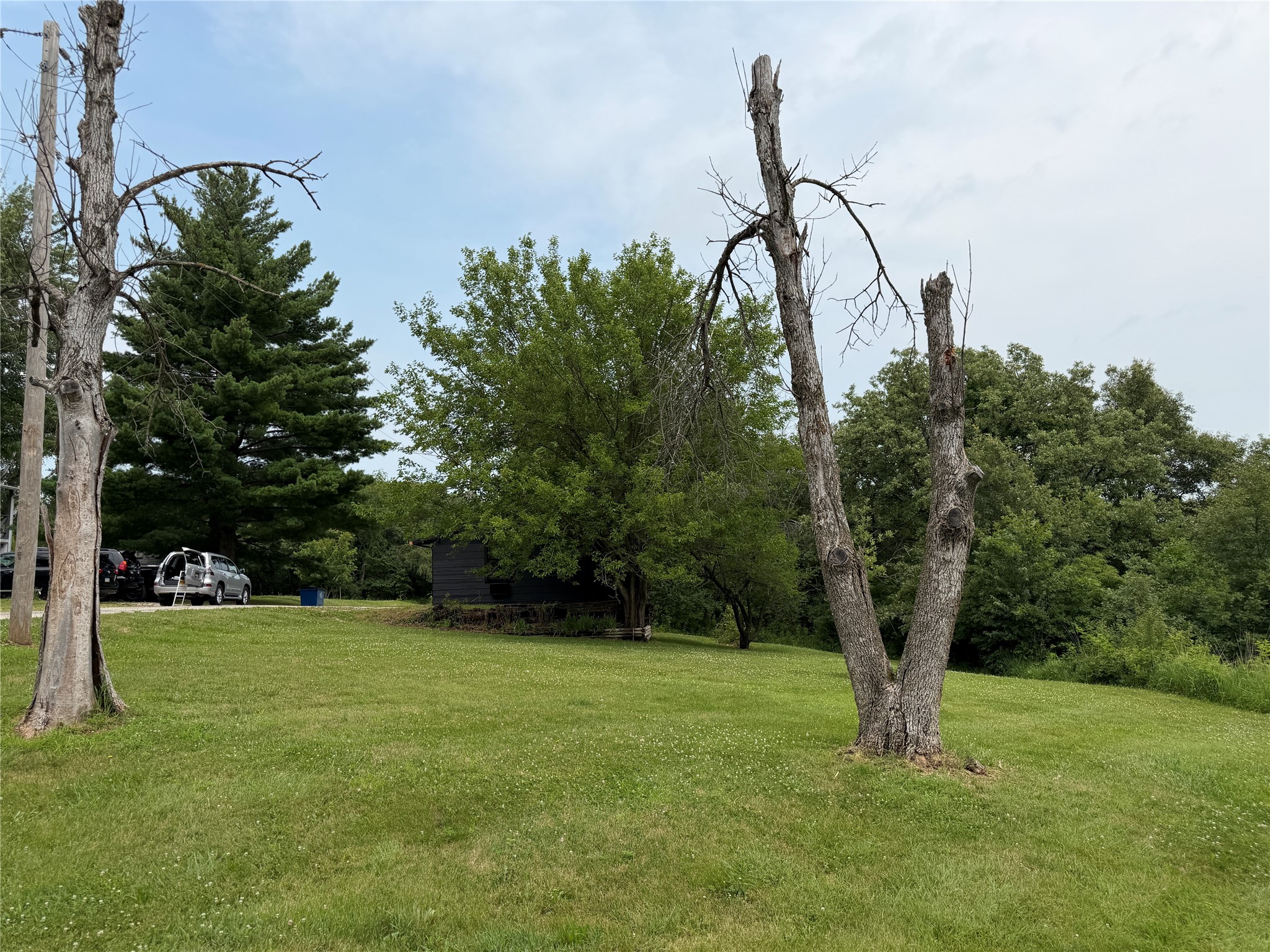 8422 Meadow Wood Drive Property Photo 15