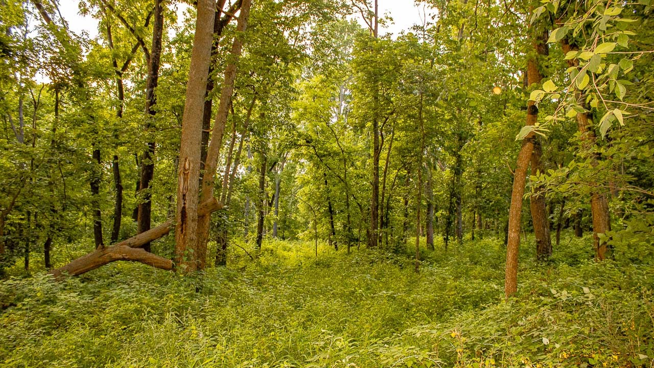135th Street None Property Photo 14
