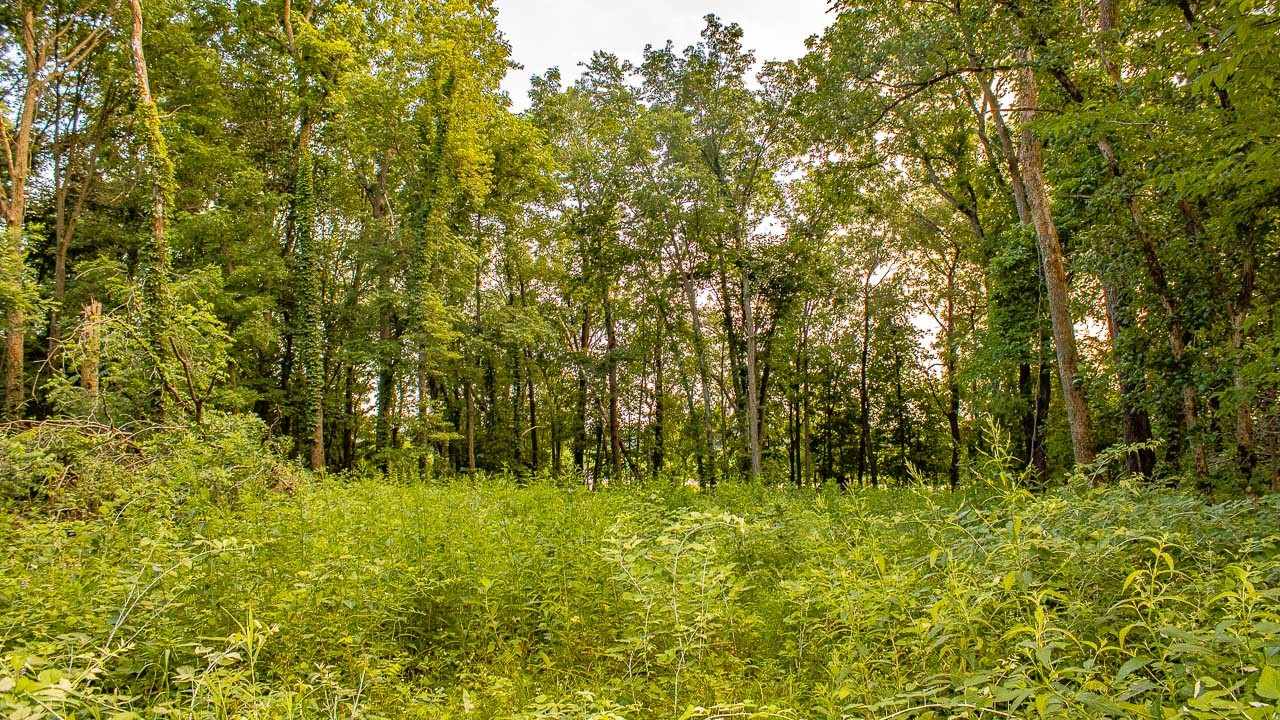 135th Street None Property Photo 19