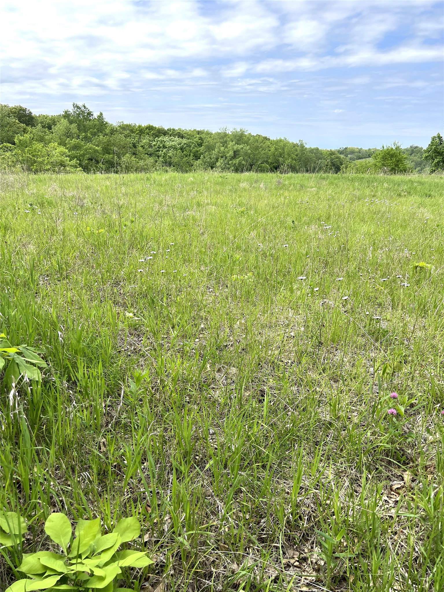 TBD 260th Avenue