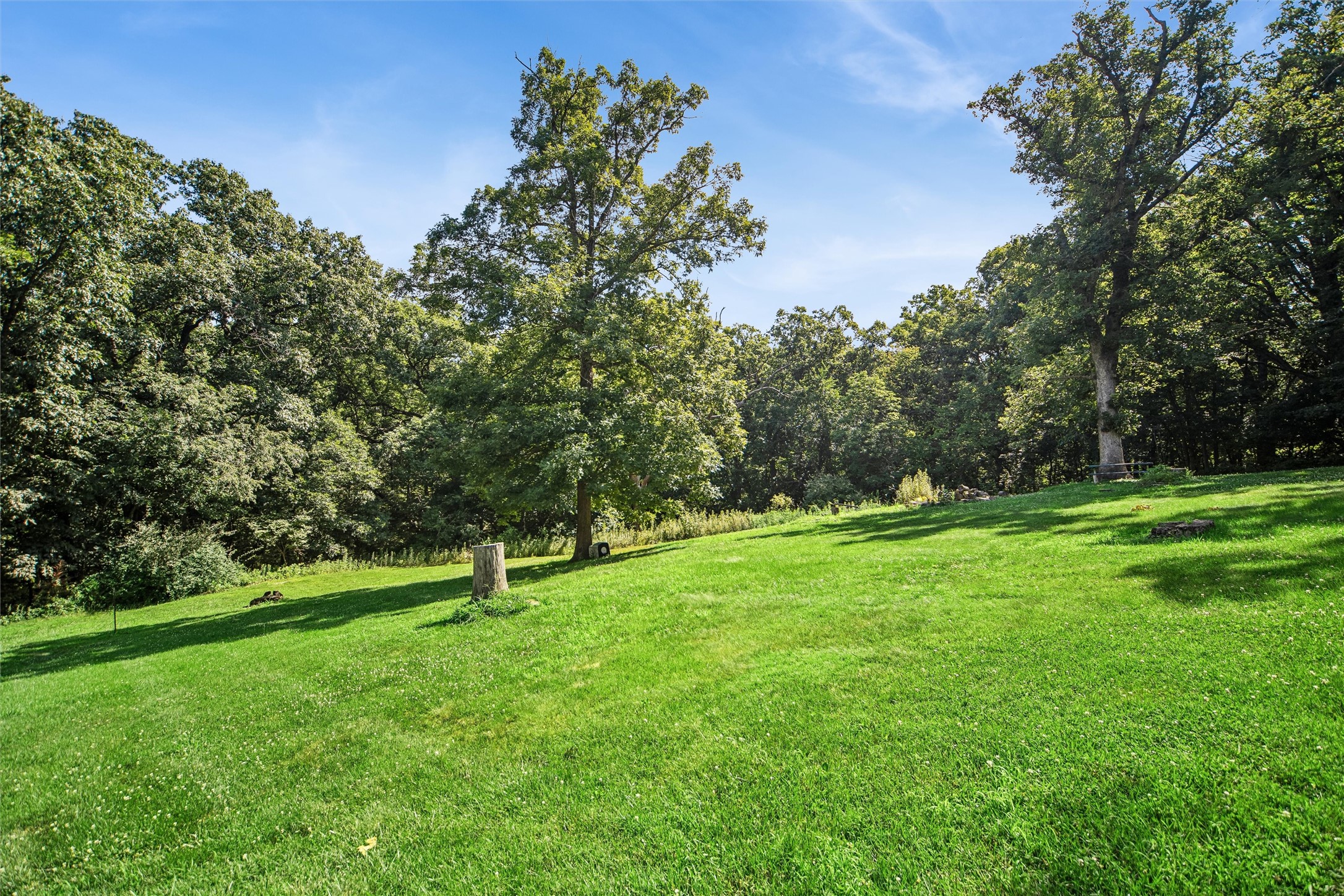37 Woodshire Drive Property Photo 33