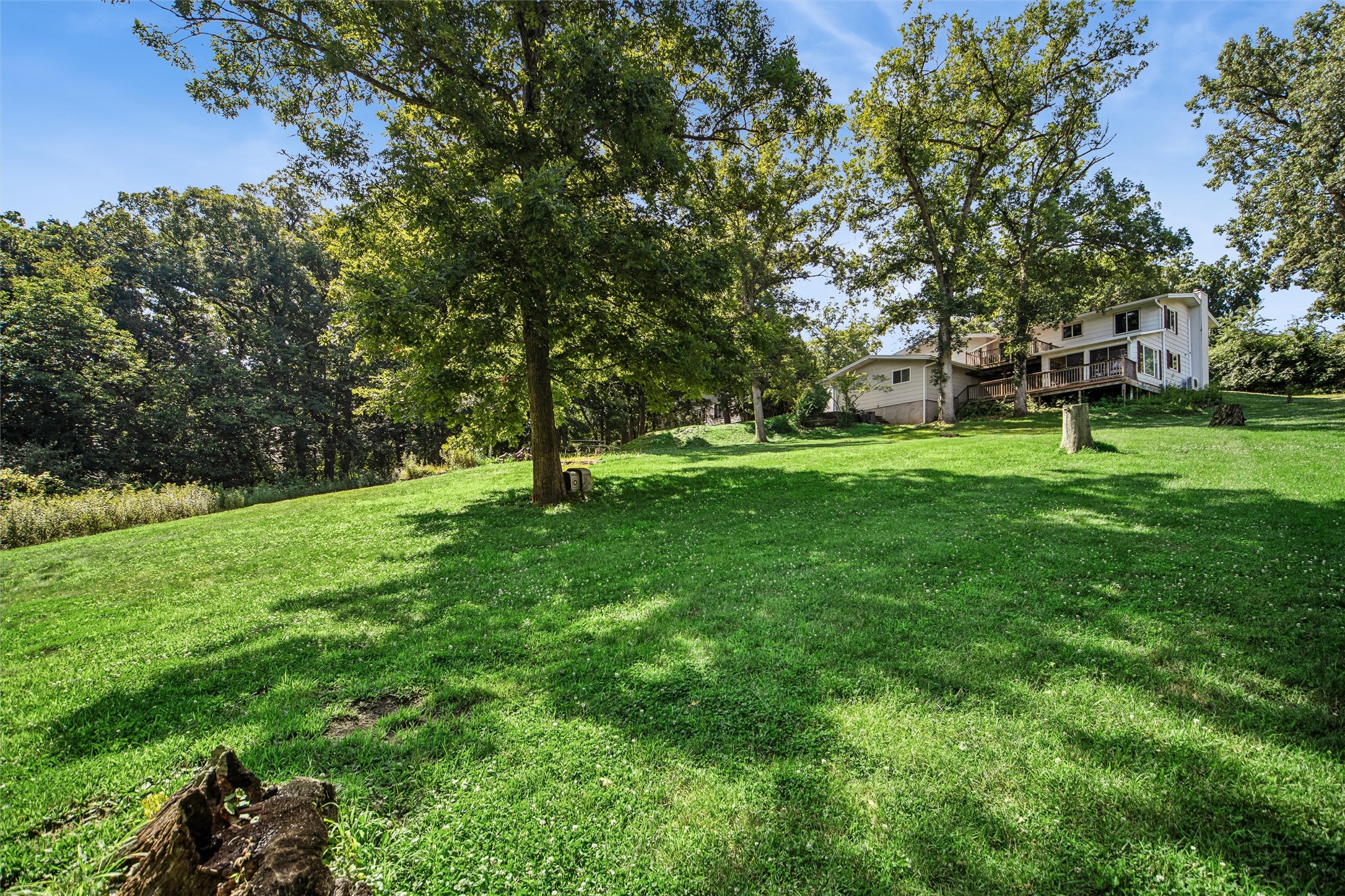 37 Woodshire Drive Property Photo 34