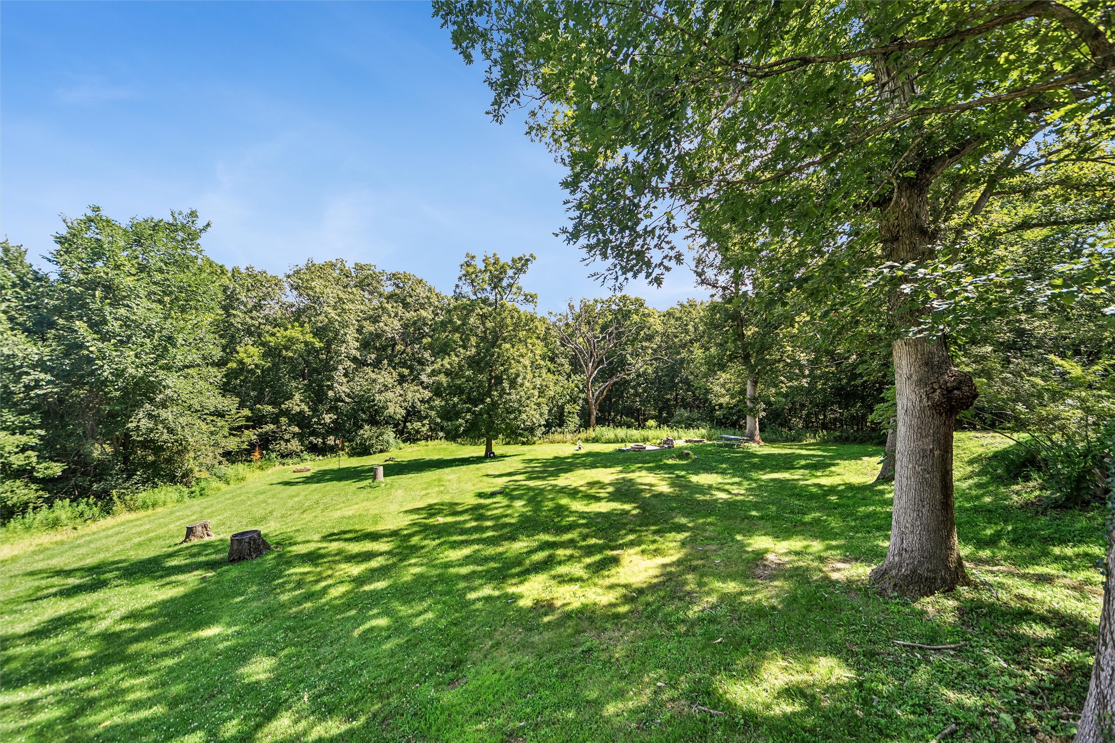 37 Woodshire Drive Property Photo 35