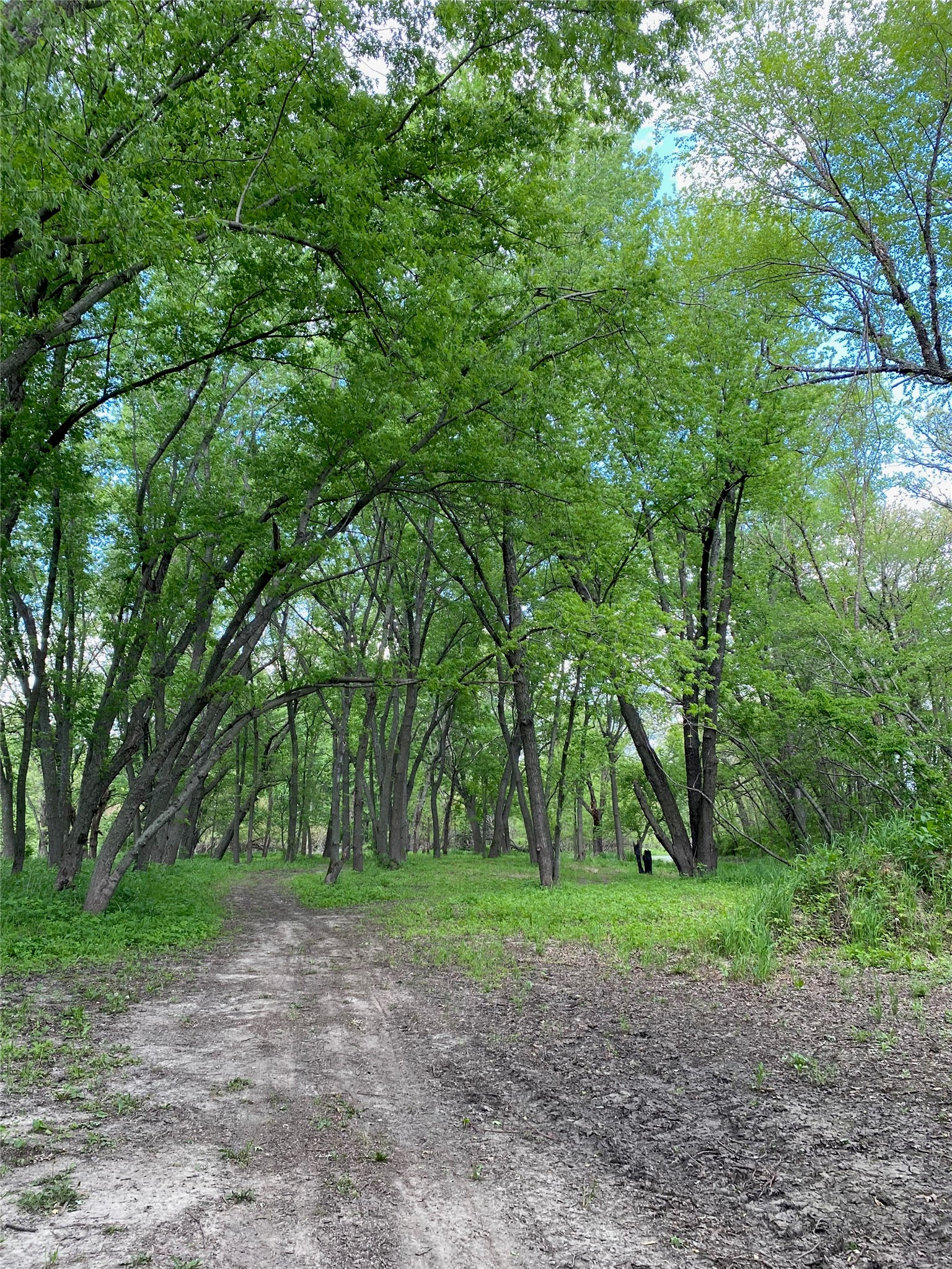 1259 Hwy 63 Highway Property Photo 34