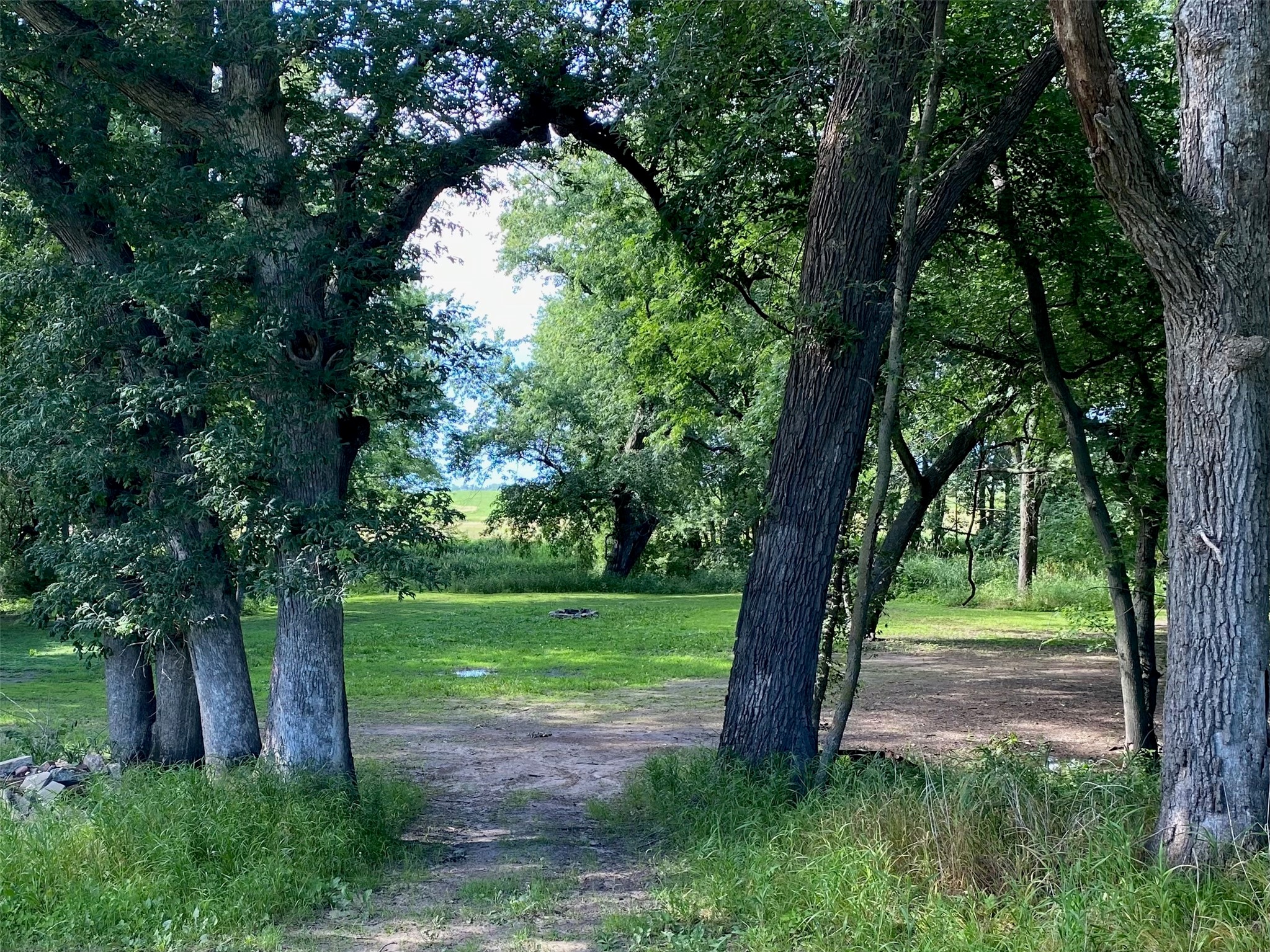 1259 Hwy 63 Highway Property Photo 35