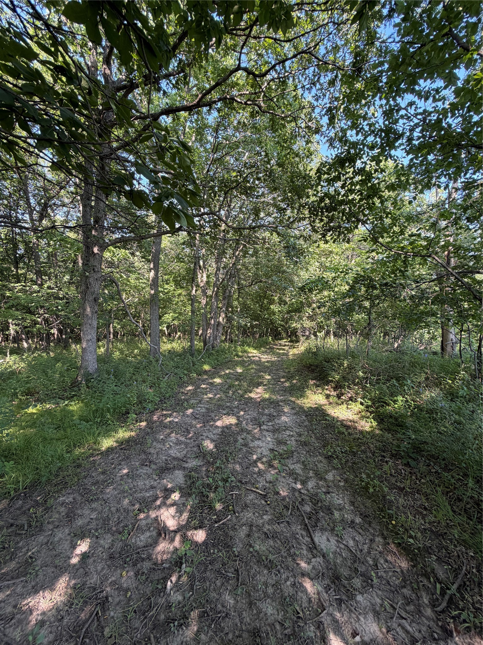 2039 145th Lane Property Photo 21