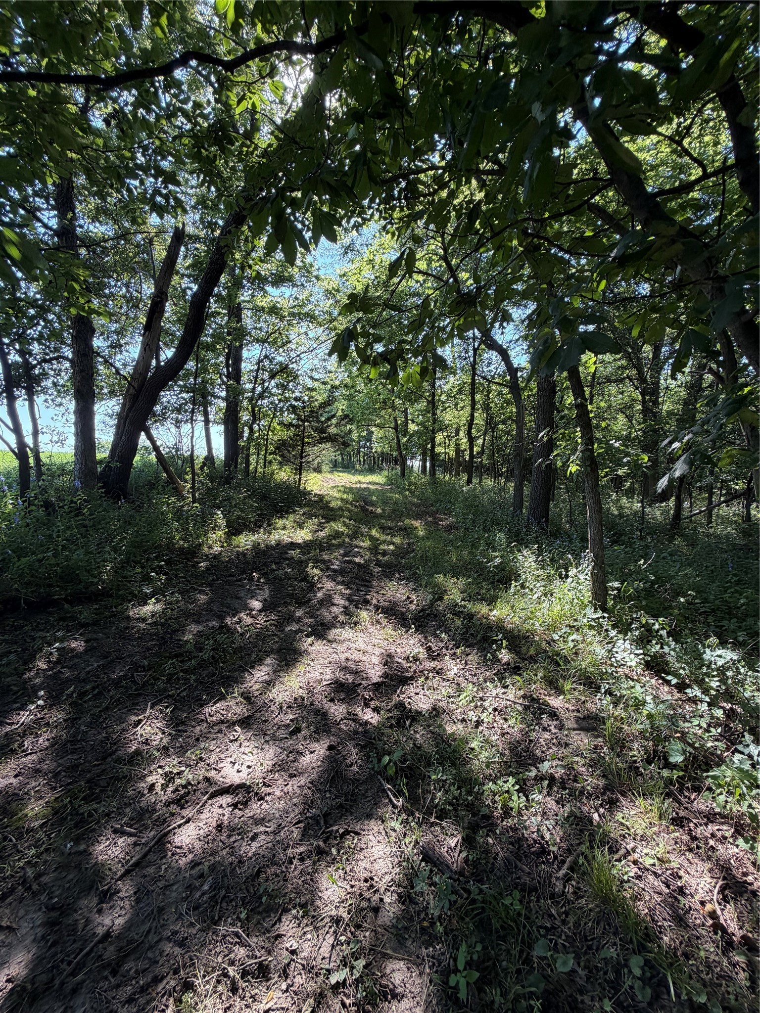 2039 145th Lane Property Photo 22
