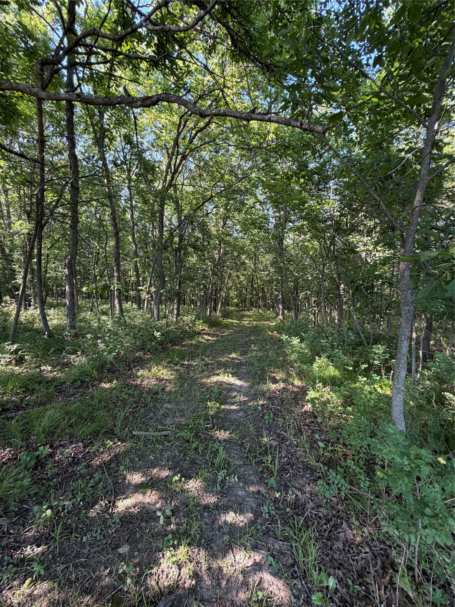 2039 145th Lane Property Photo 23