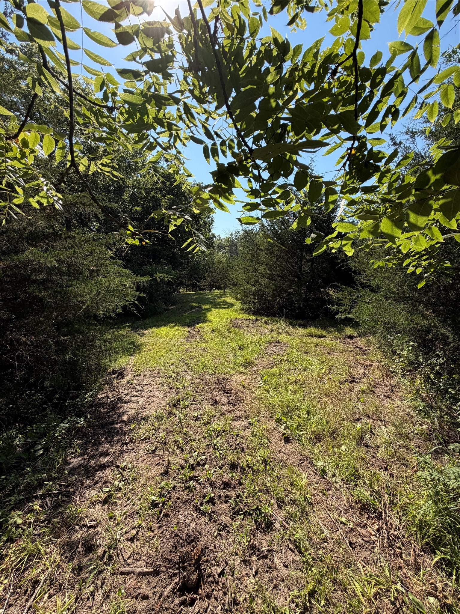2039 145th Lane Property Photo 24