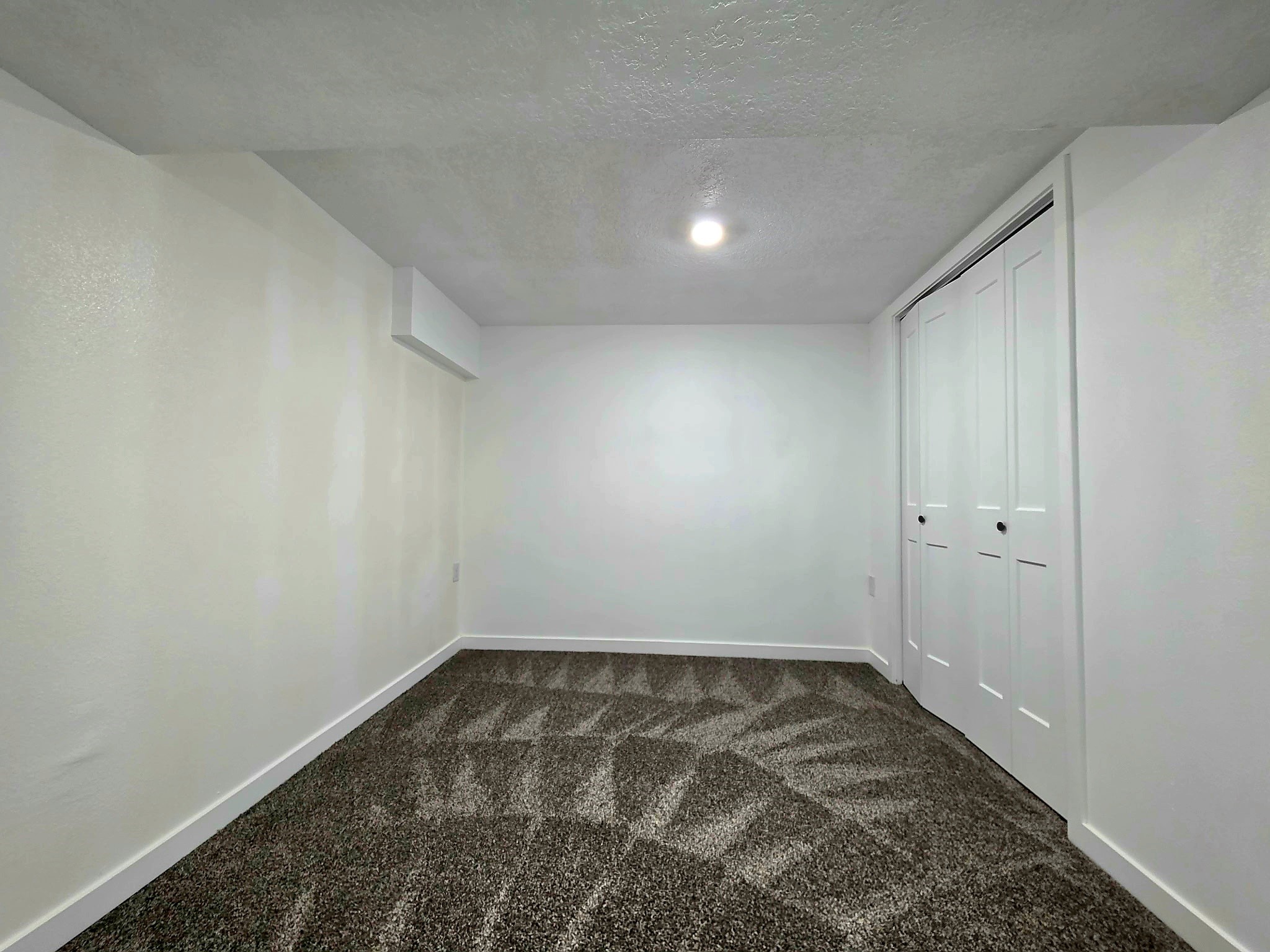 2228 Lyon Street Property Photo 13