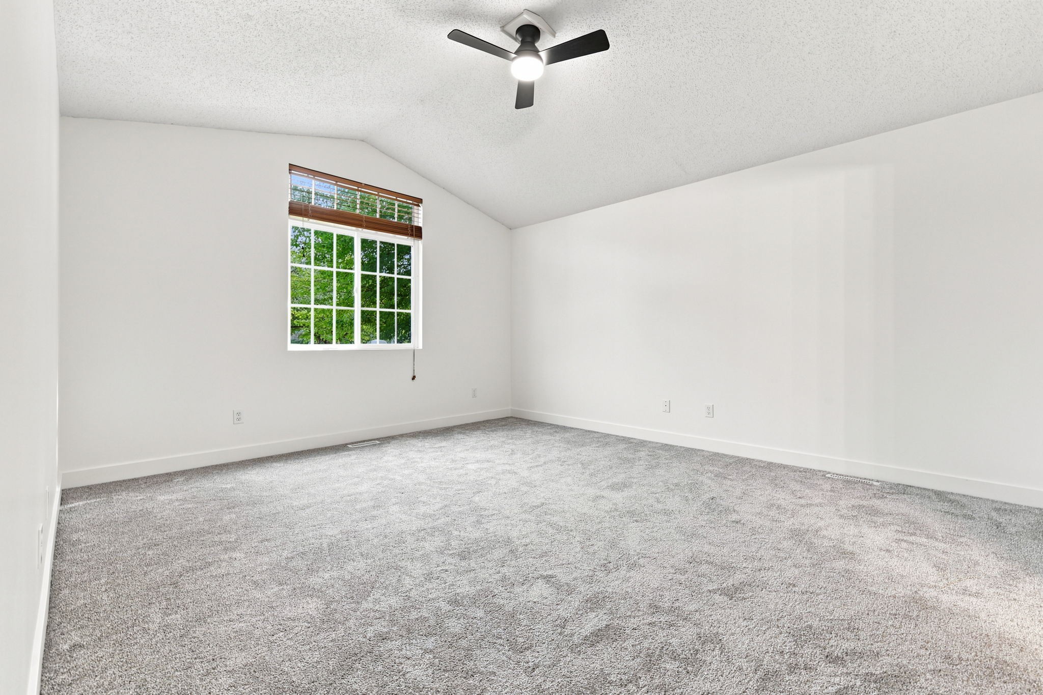 12527 Douglas Parkway Property Photo 15