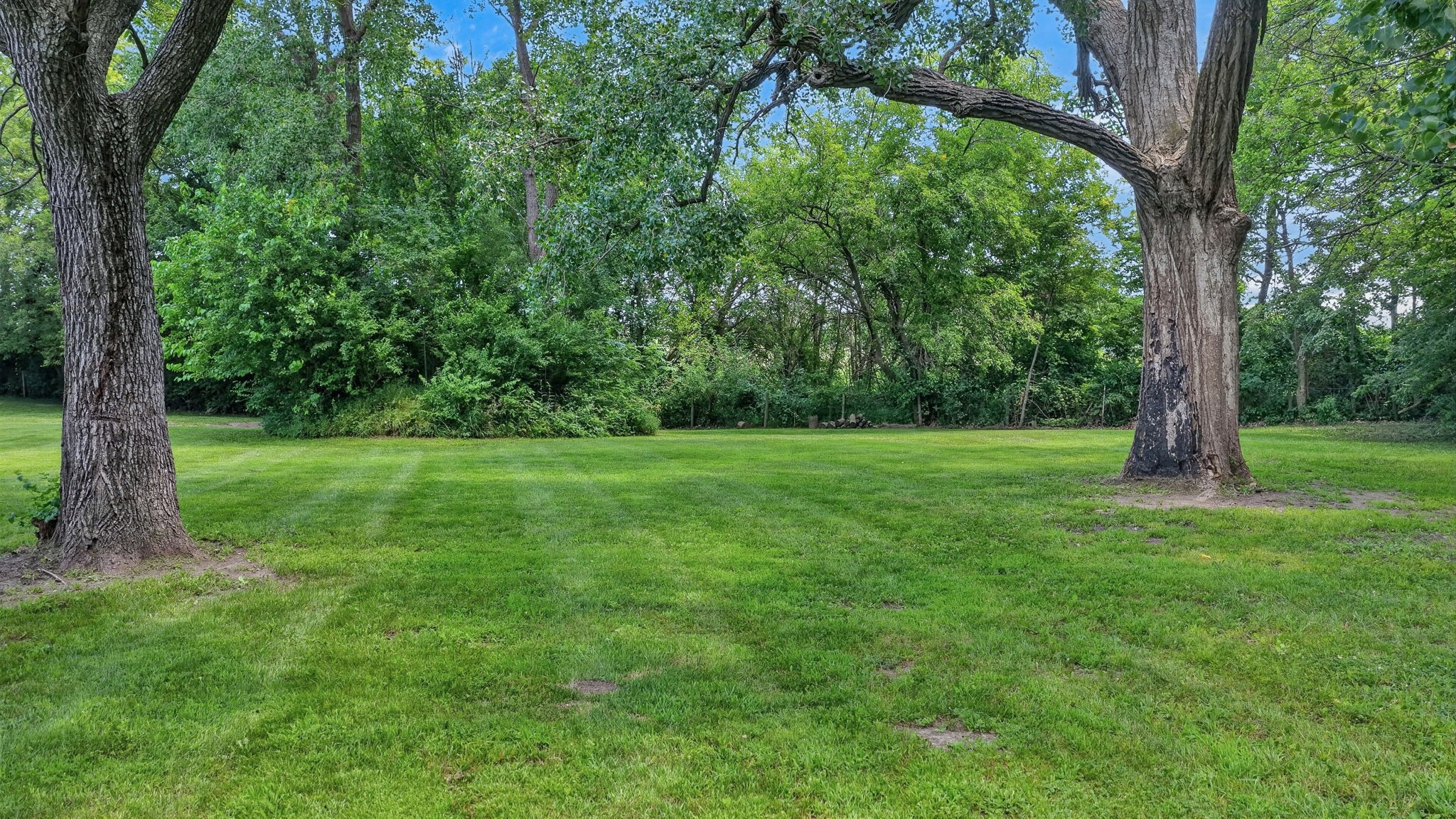 2518 Wagon Road Property Photo 16