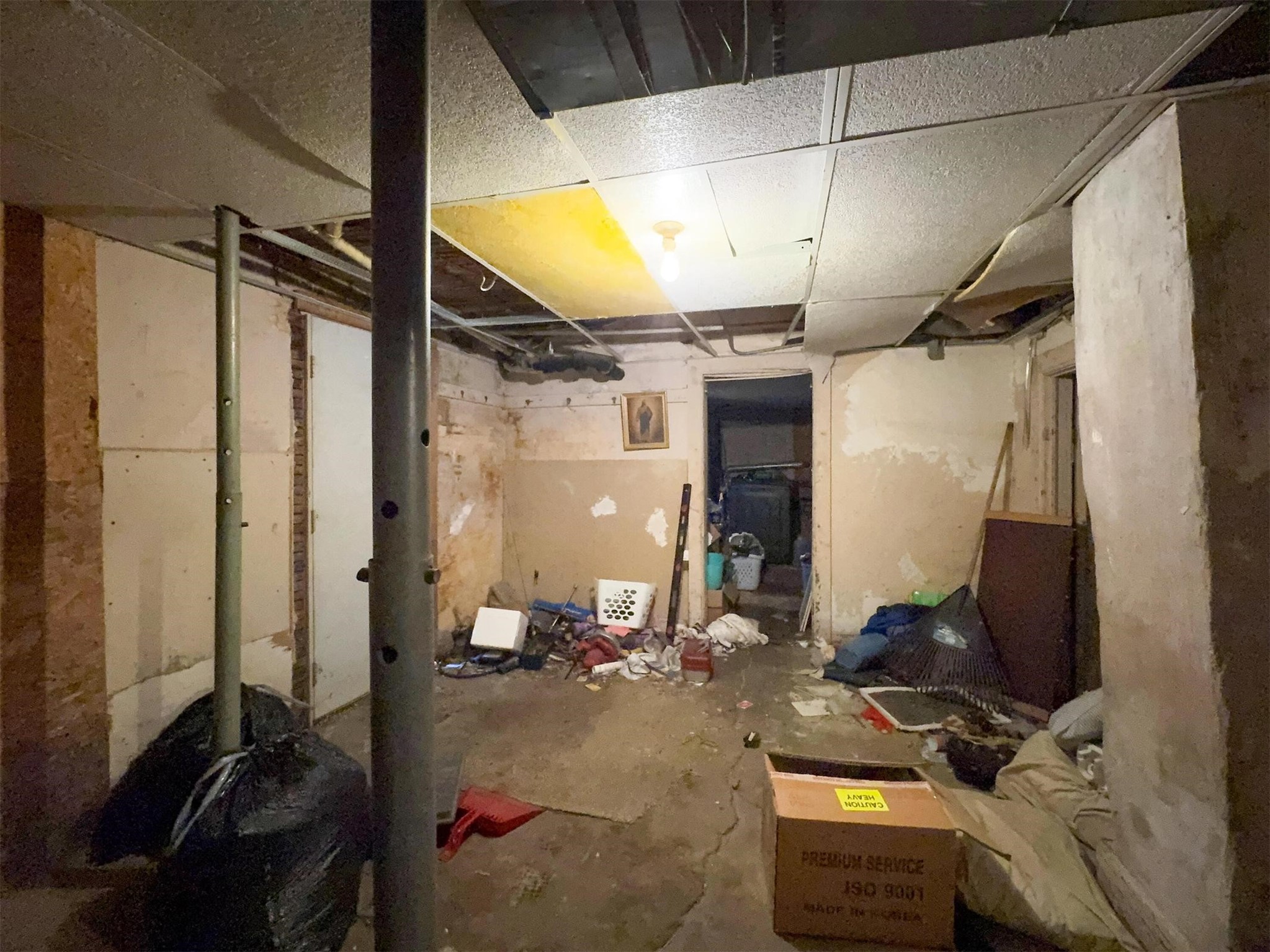 516 Greene Street Property Photo 17