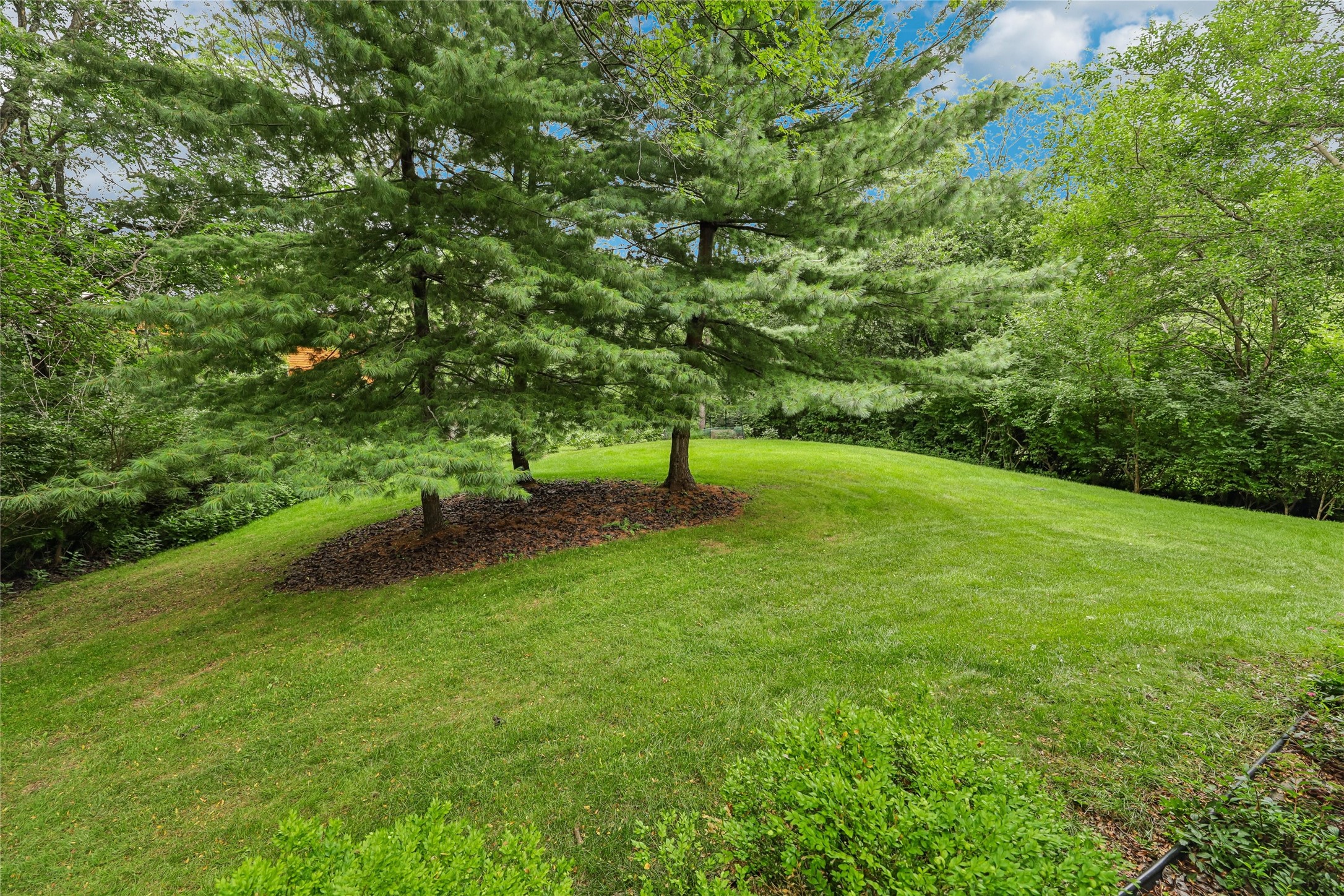3301 Valley Ridge Court Property Photo 34