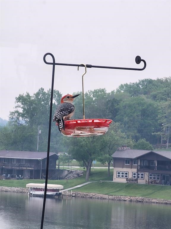 8104 Lakeshore Drive Property Photo 28