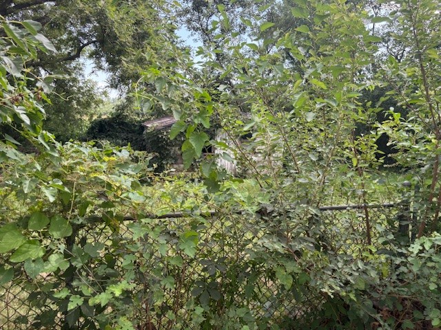 11553 Orchard Avenue Property Photo 31