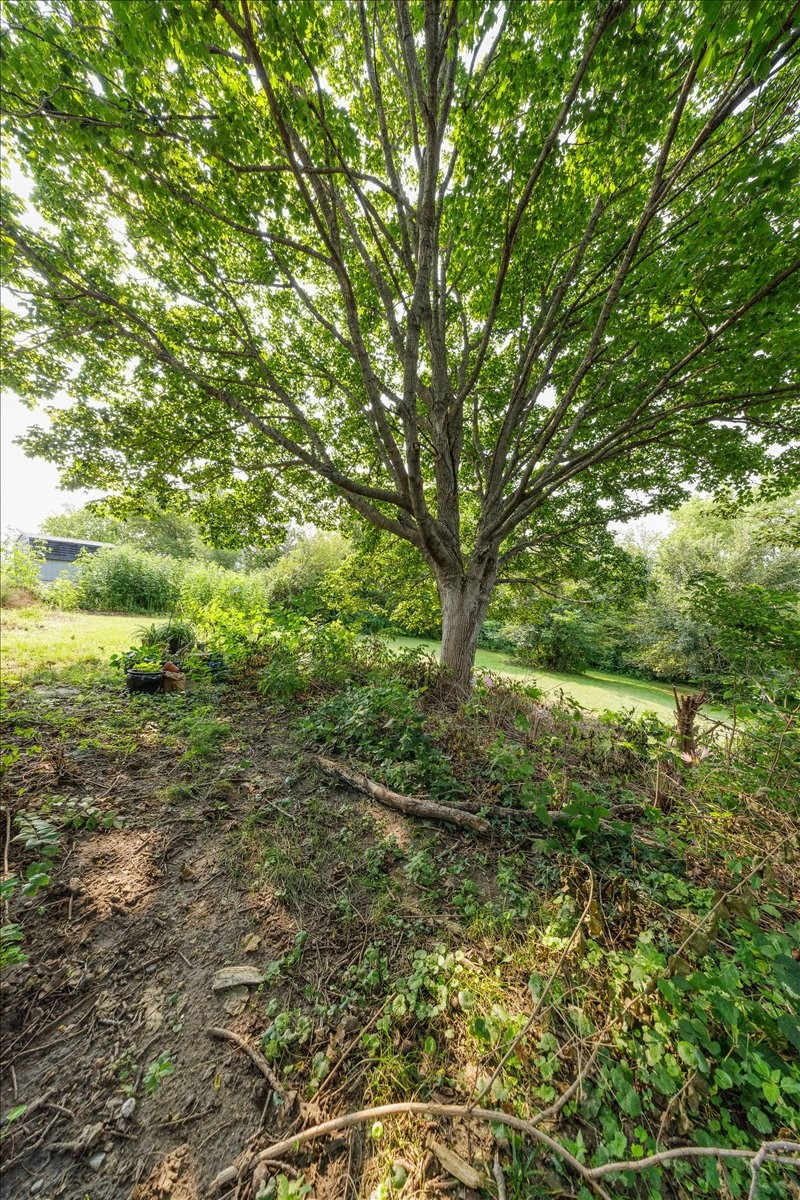 706 Division Street Property Photo 28