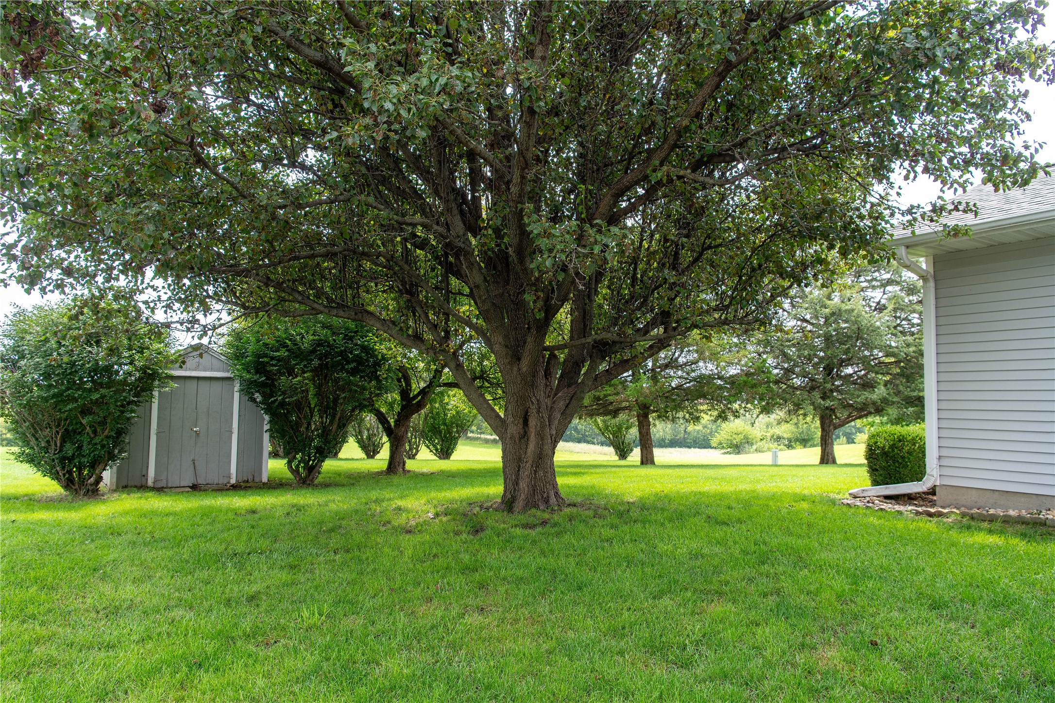 1106 E 7th Street Property Photo 33