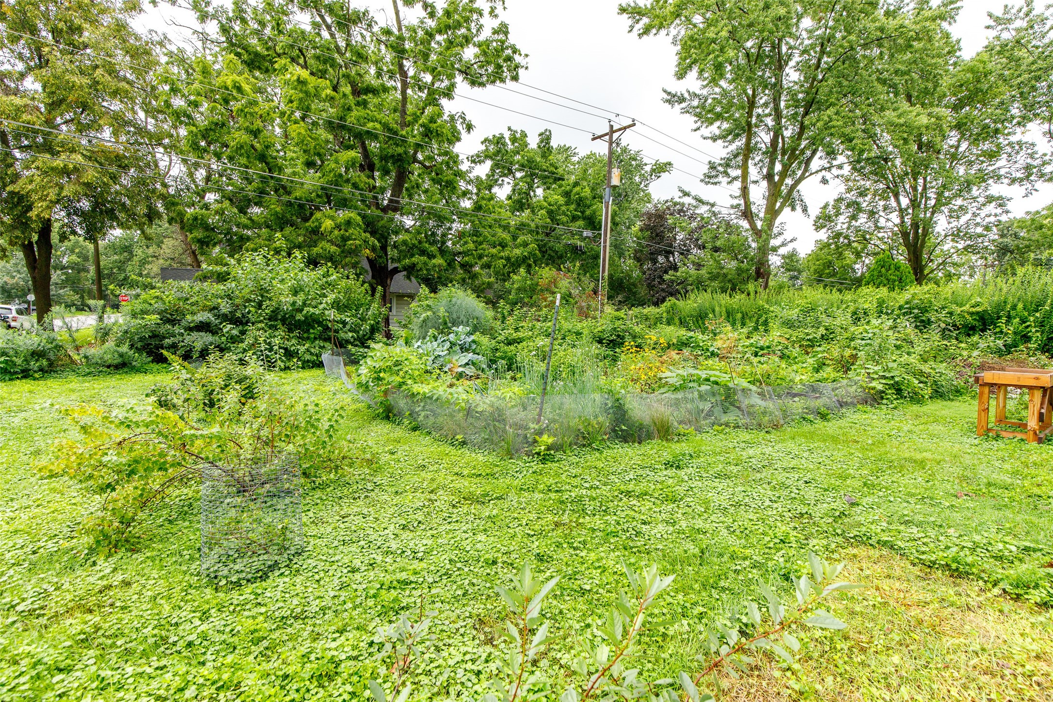 1203 Burnett Avenue Property Photo 25