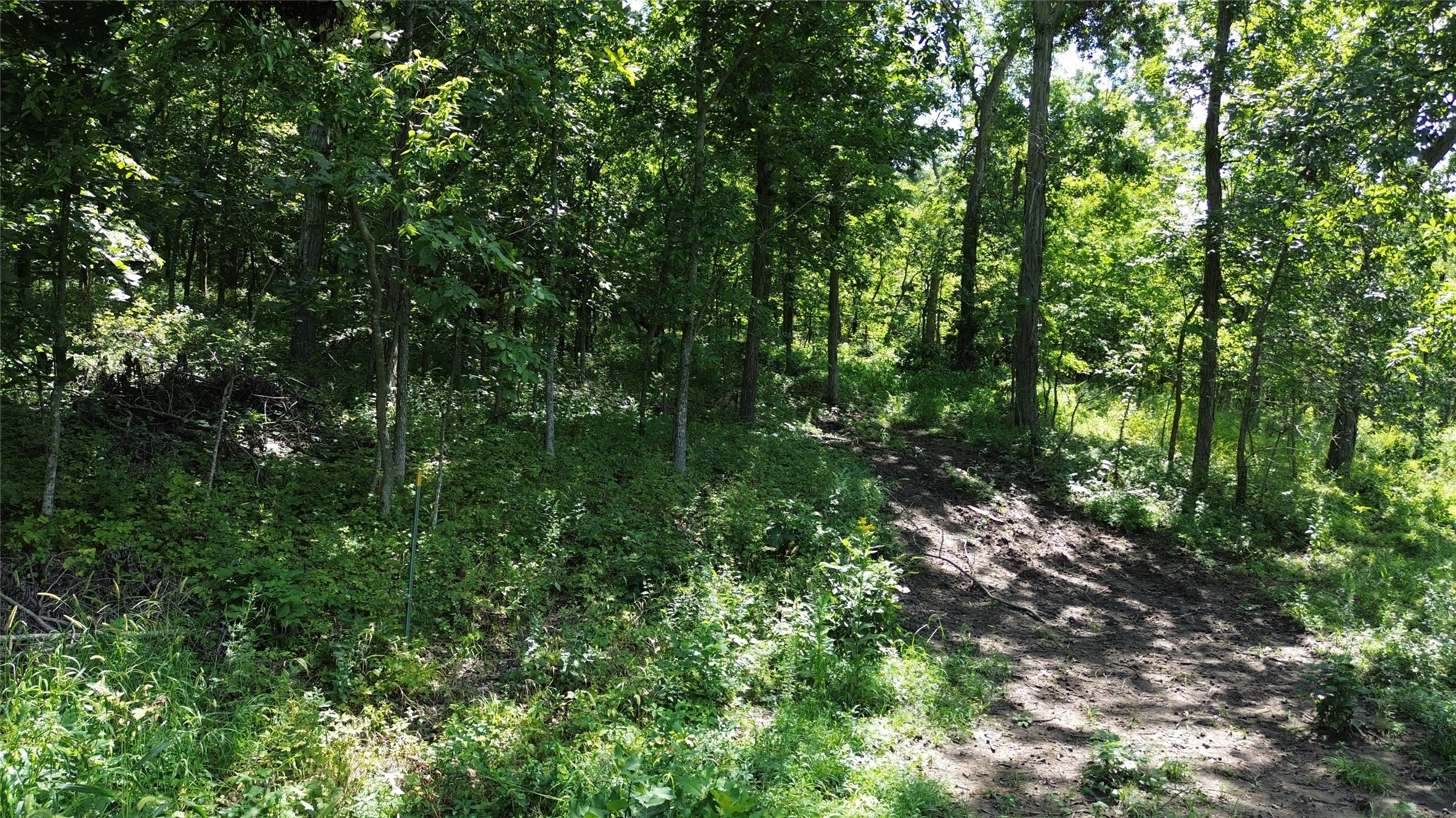 27346 580th Street Property Photo 5