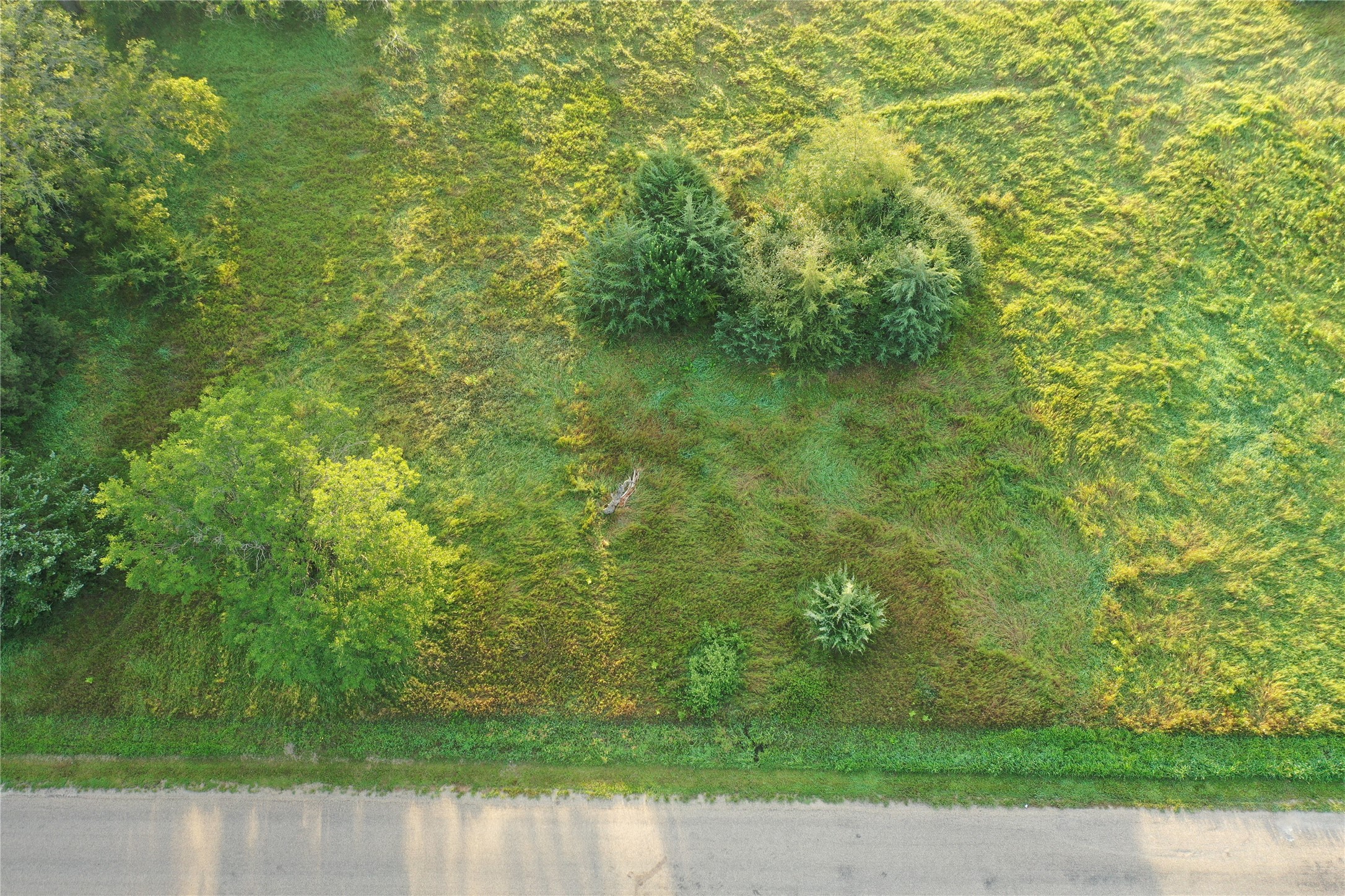 4618 Canfield Drive Property Photo 2