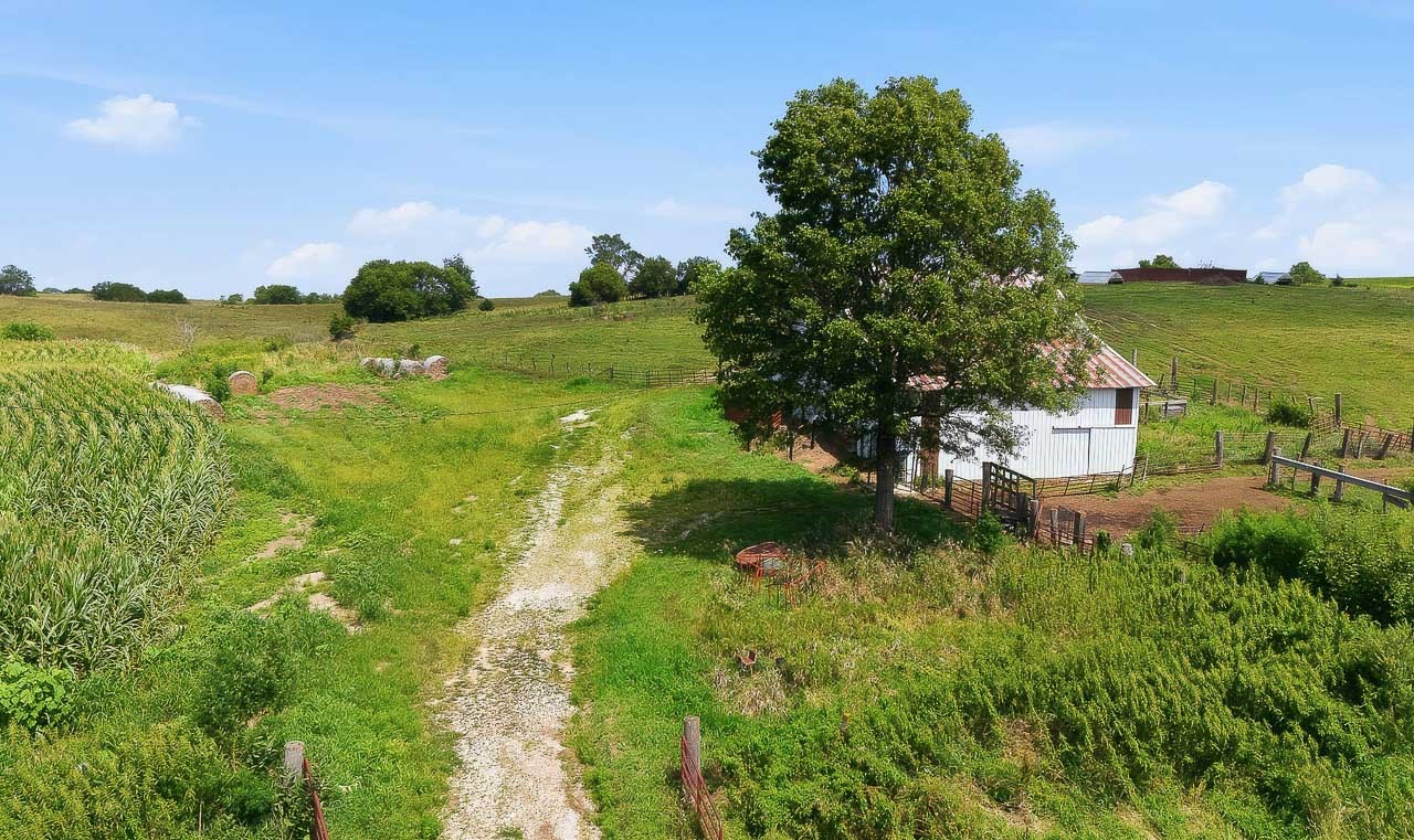 Montieth Road Property Photo 12
