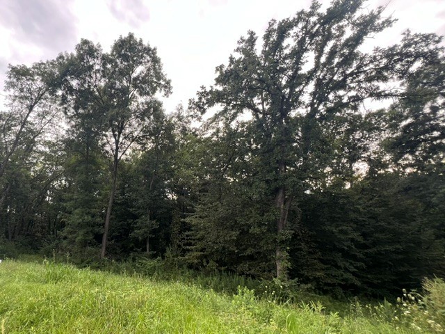 Tbd Shagbark Circle Property Photo 1