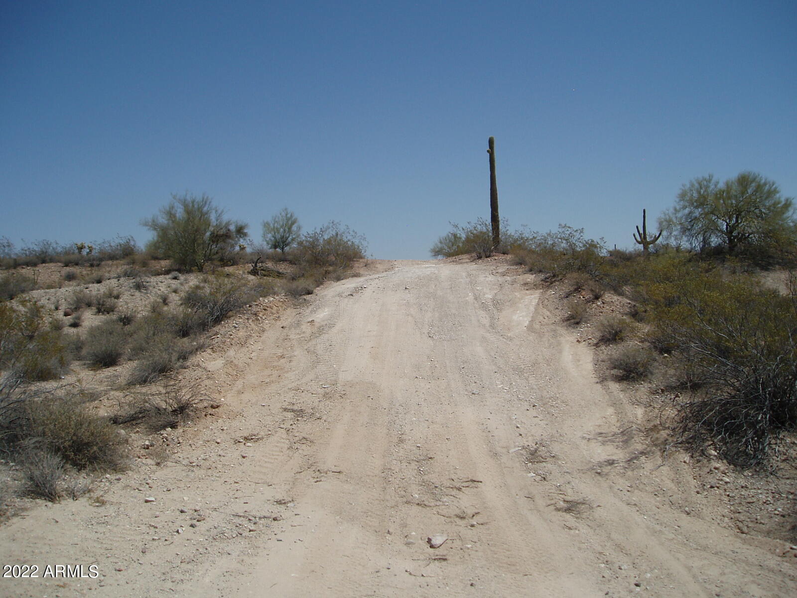 29475 W Painted Wagon Trail Property Photo 1