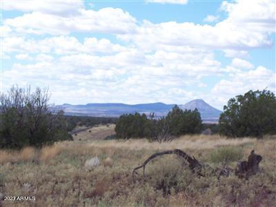996 W Couchman's Trail Property Photo