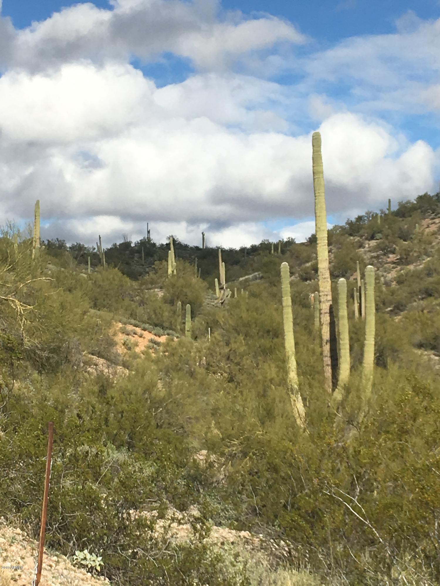86.346 AC. STONEHEDGE RANCH Road Property Photo 1