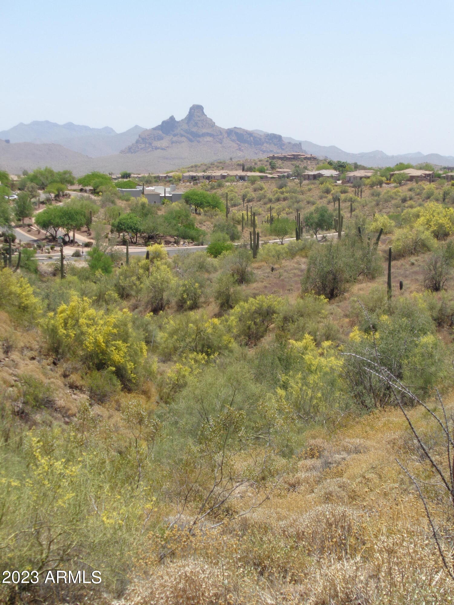 11760 N Sunset Vista Drive Property Photo 4