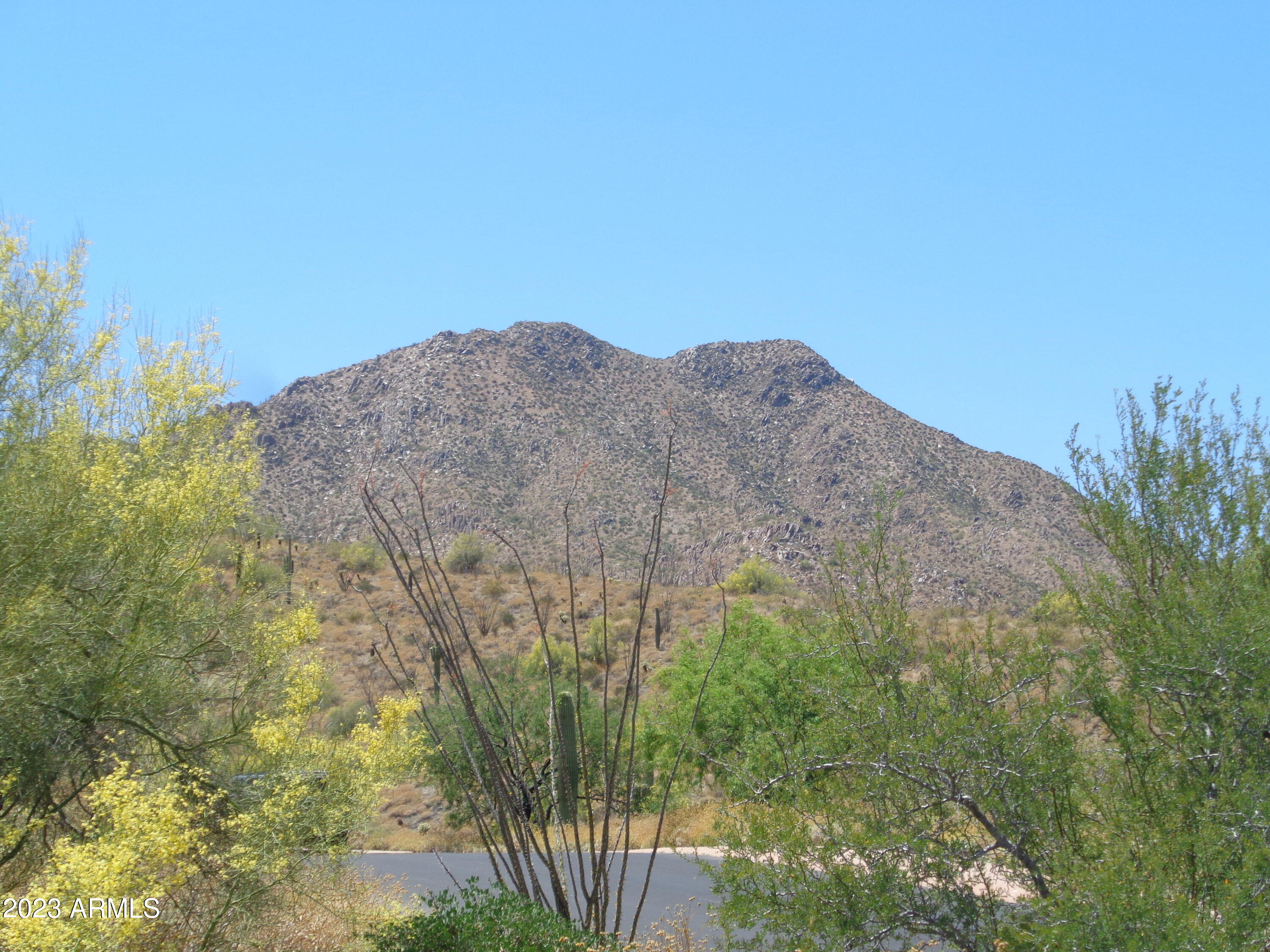 13847 E Coyote Way Property Photo 6