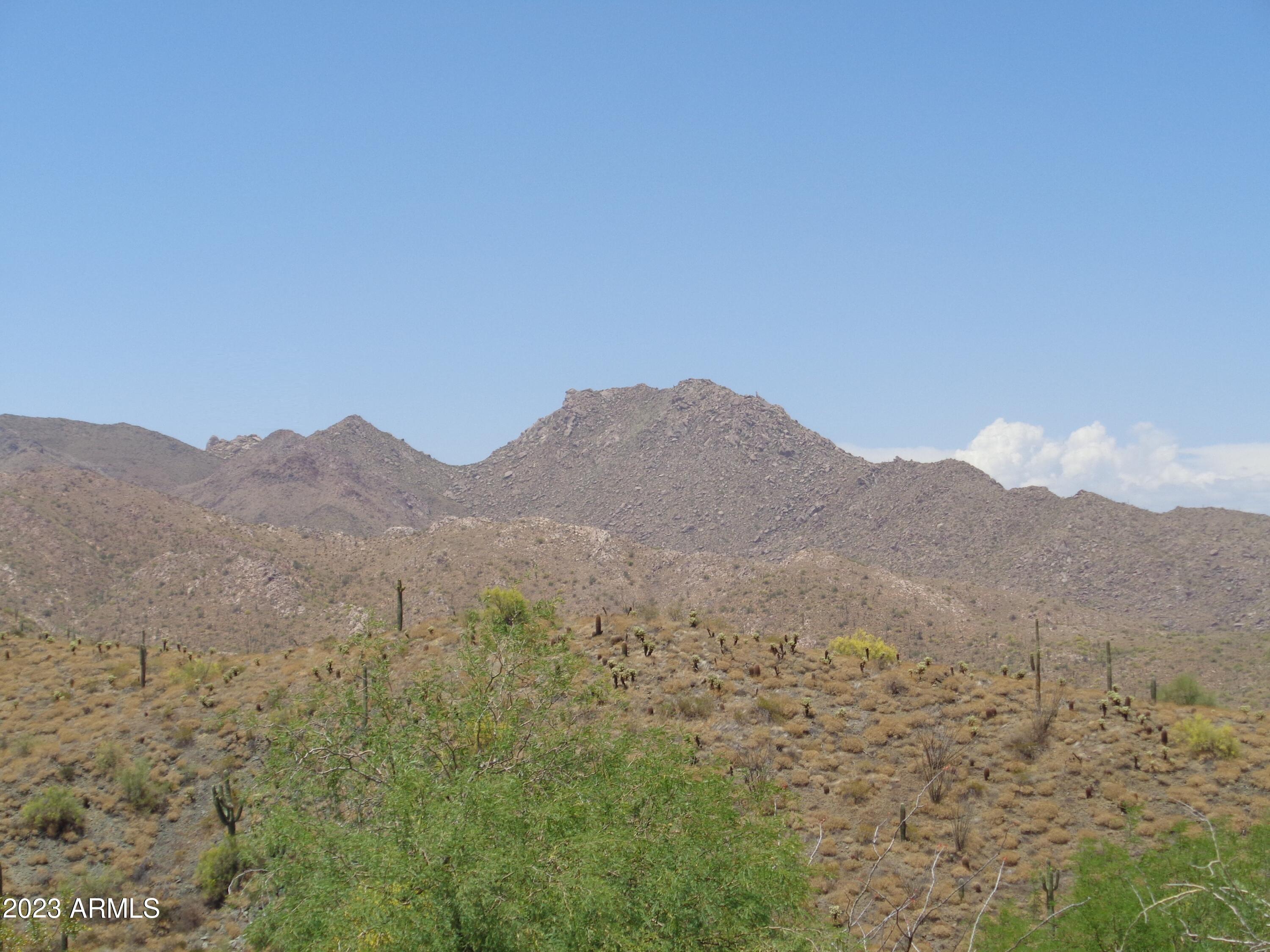 13847 E Coyote Way Property Photo 8