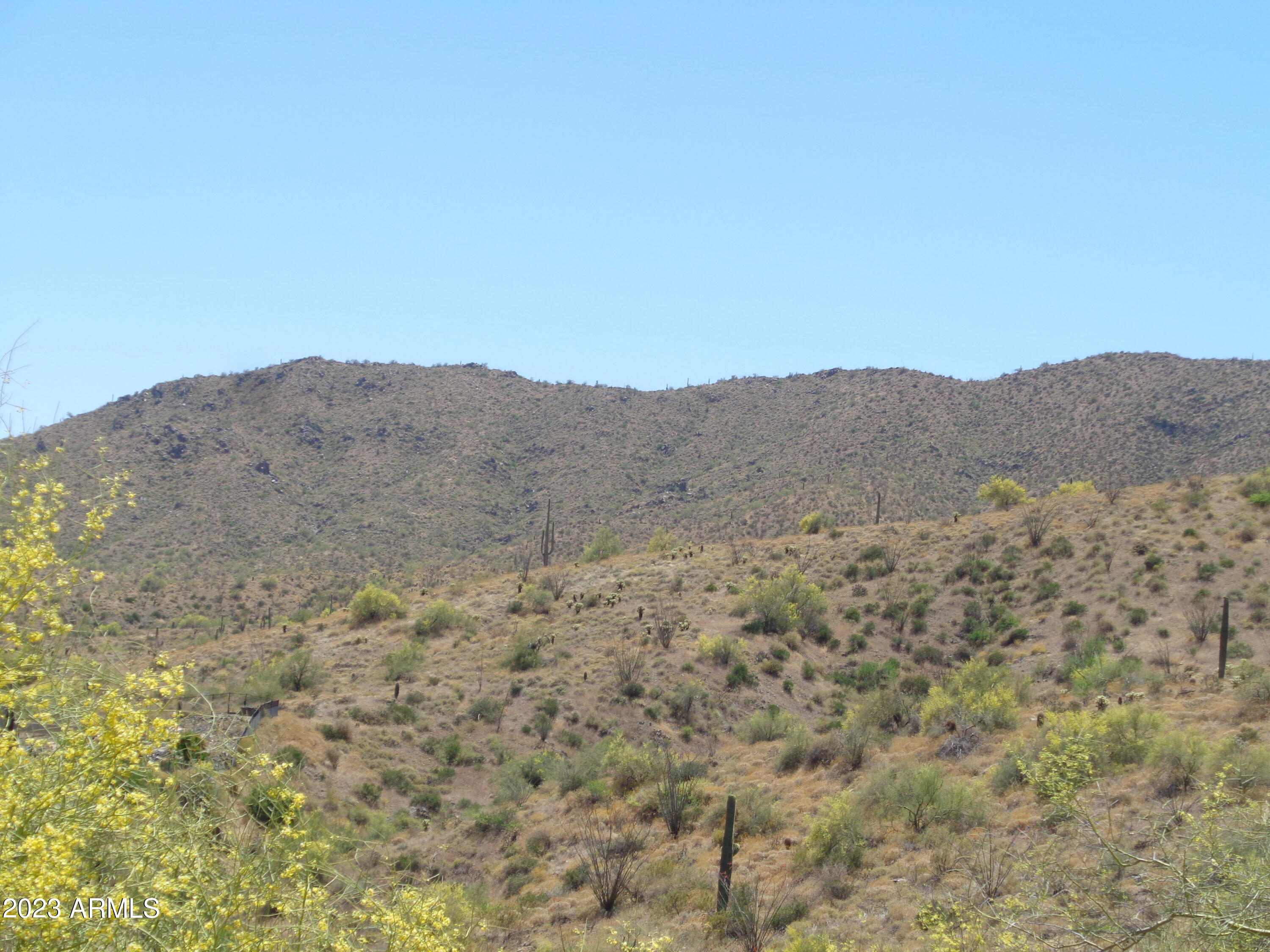 13847 E Coyote Way Property Photo 10