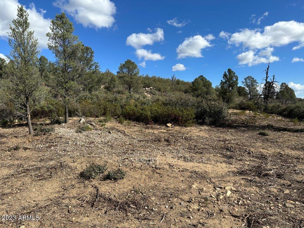 17xxx S Pinon Lane Property Photo 1