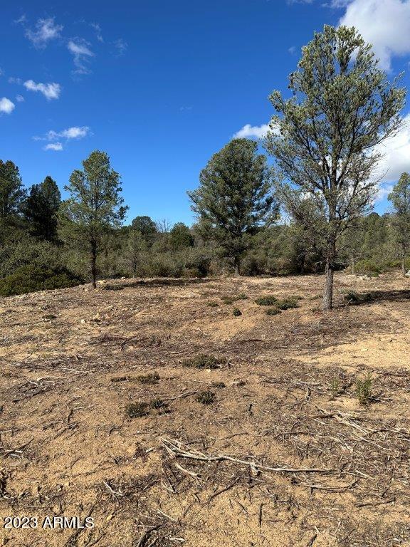 17xxx S Pinon Lane Property Photo 2