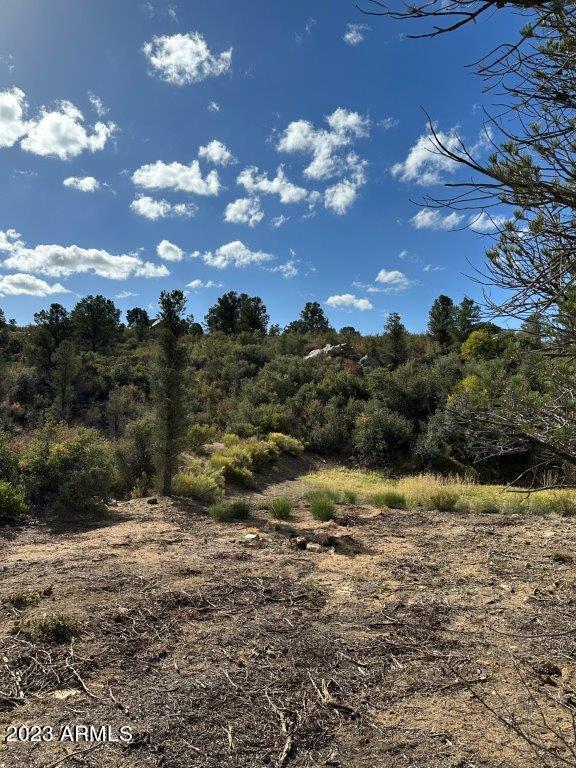 17xxx S Pinon Lane Property Photo 3