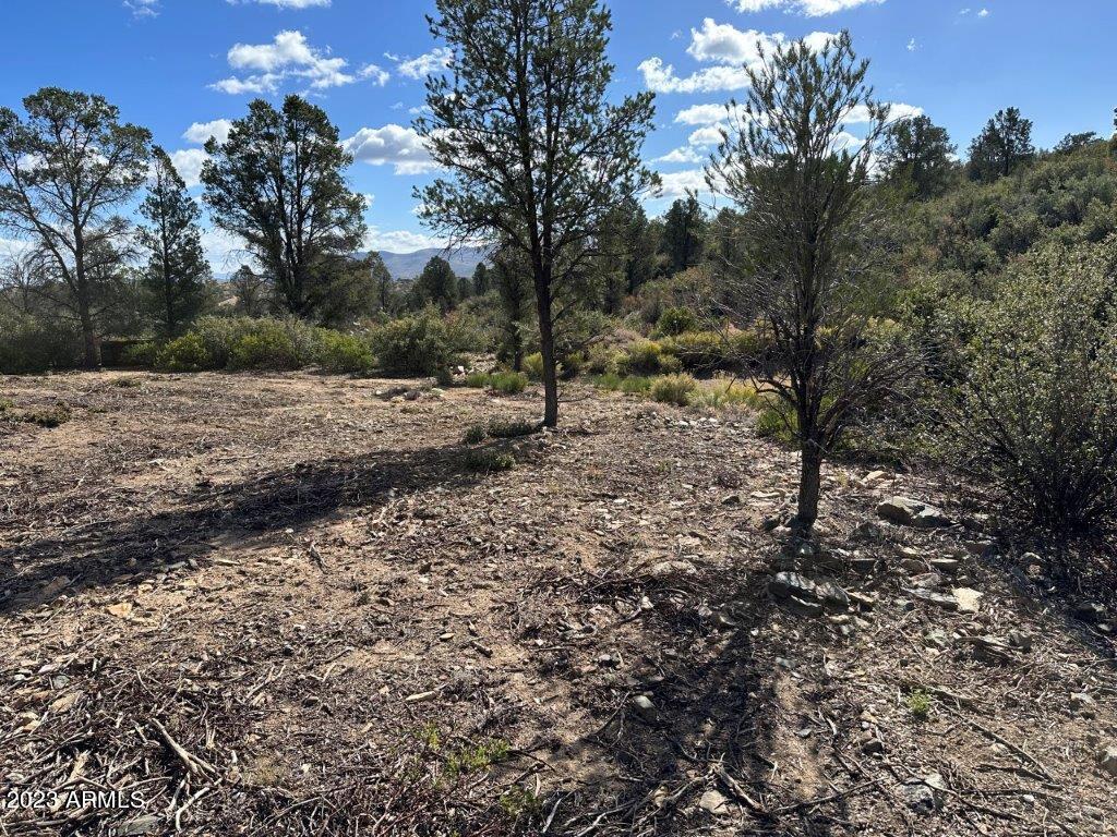 17xxx S Pinon Lane Property Photo 4