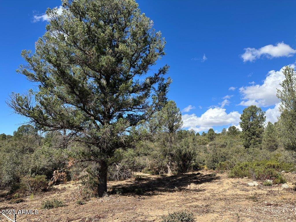 17xxx S Pinon Lane Property Photo 5